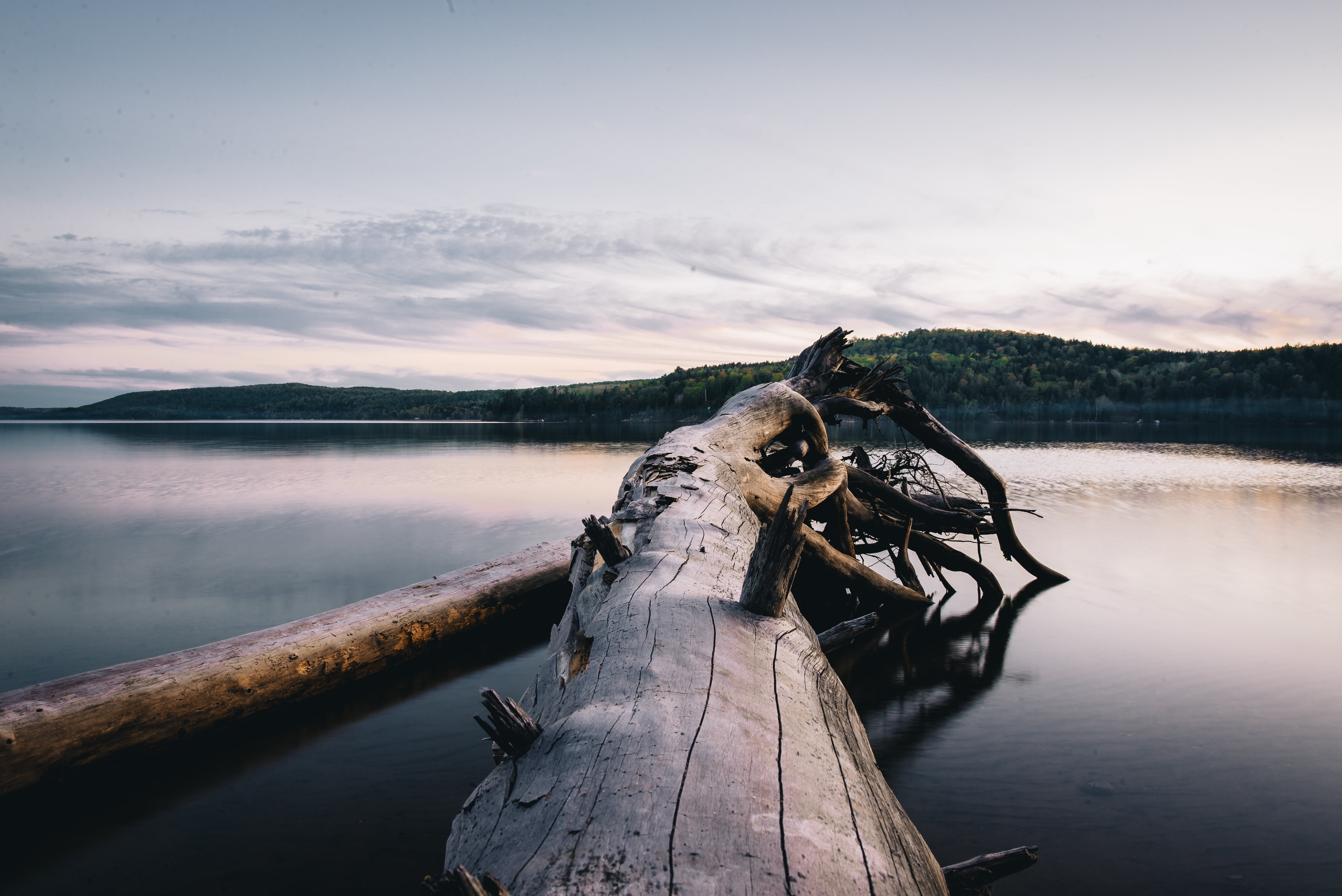 daytime, bared, non-urban scene, nature, sky, tranquility, lake, tree, scenics - nature, sunset, mountain, log, outdoors, reflection, bark, beauty in nature, HD Wallpaper