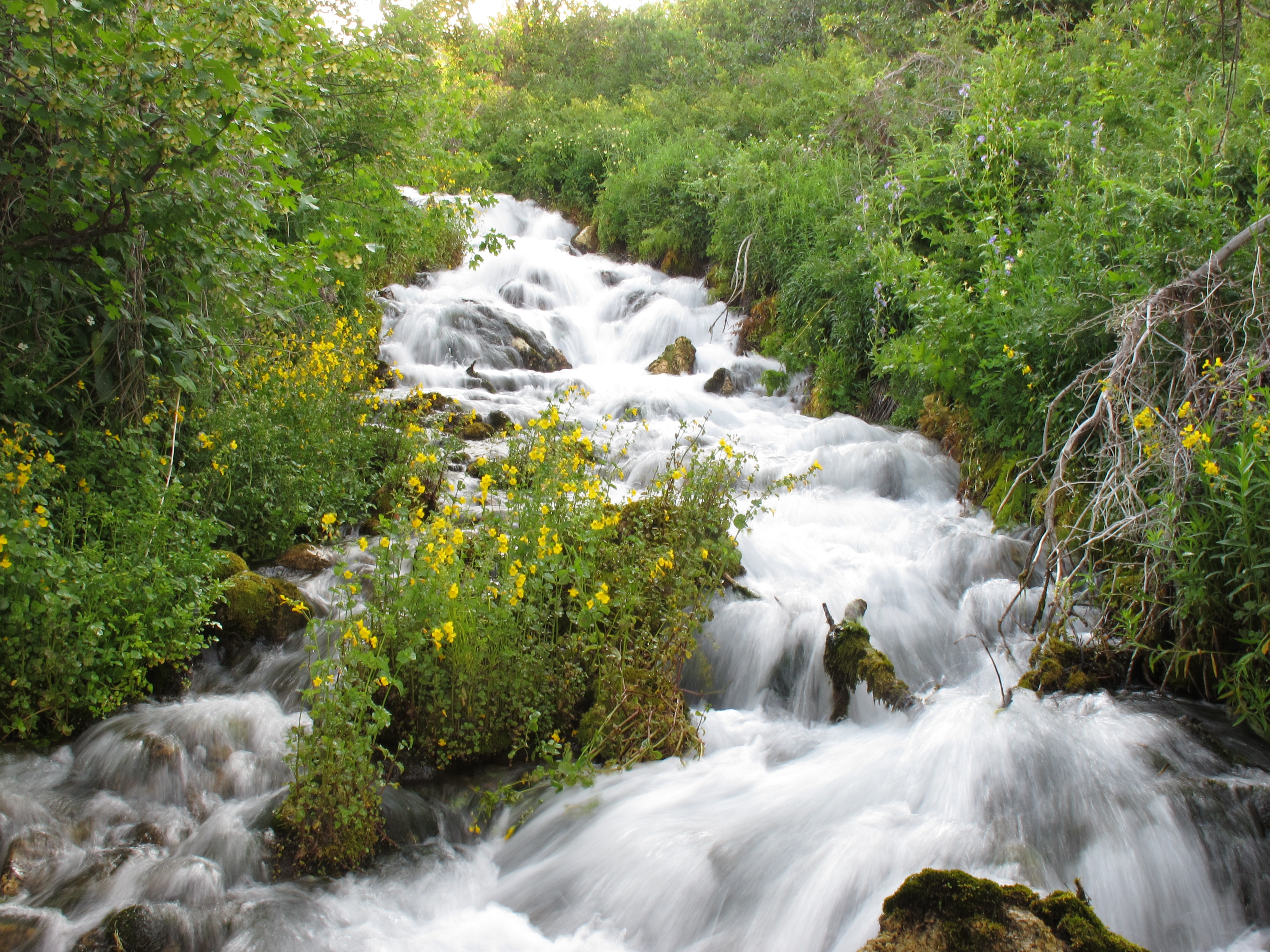 flowing, blurred motion, wild, nature, solid, green, landscape, utah, flowing Water, rock, motion, long exposure, springs, stream, outdoors, environment, HD Wallpaper