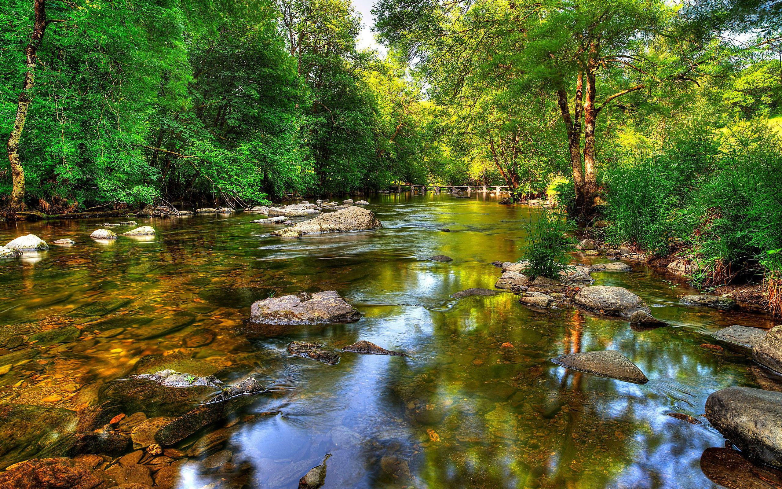 bridge, clear, green, coast, hd, 2K, trees, windows, crystal, river, desktop, rock, HD Wallpaper