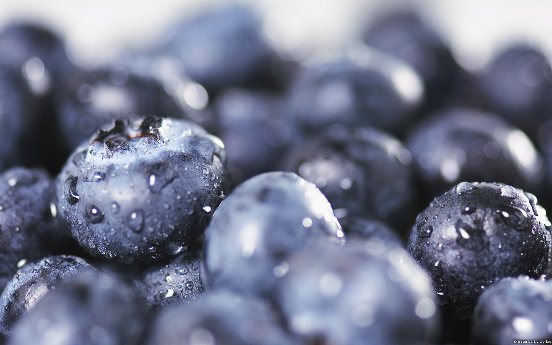 close-up, blueberry, freshness, 1080P, blueberries, ripe, drop, full frame, no people, still life, food, indoors, large group of objects, wet, black color, HD Wallpaper