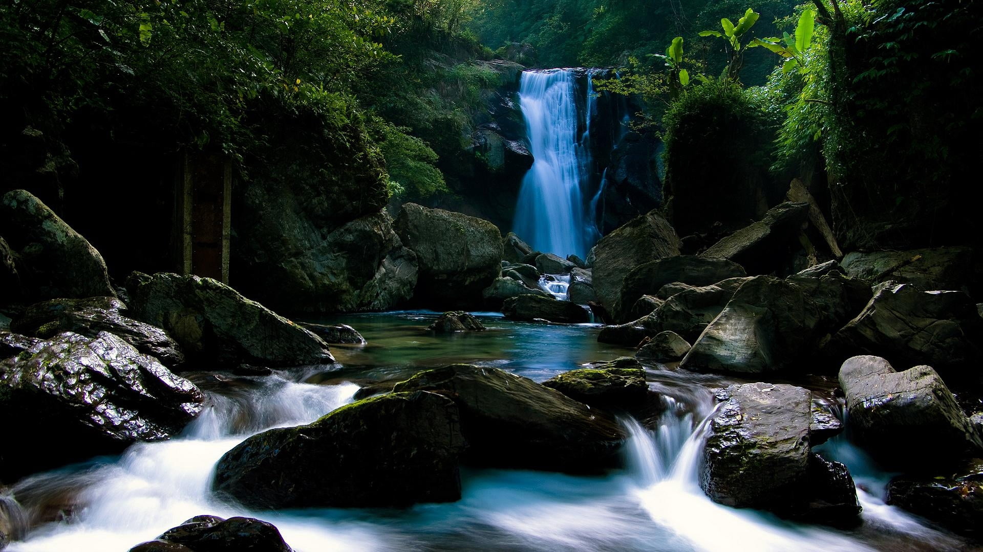 beauty In Nature, rainforest, falls, stones, heaven, scenics - nature, freshness, leaf, water, power in nature, solid, stream, river, flowing Water, blurred Motion, HD Wallpaper