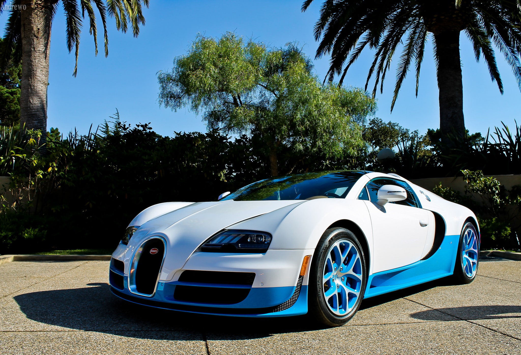 veyron, Bugatti Veyron, bugatti, blue, palm trees, white, Vitesse, 1080P, HD Wallpaper