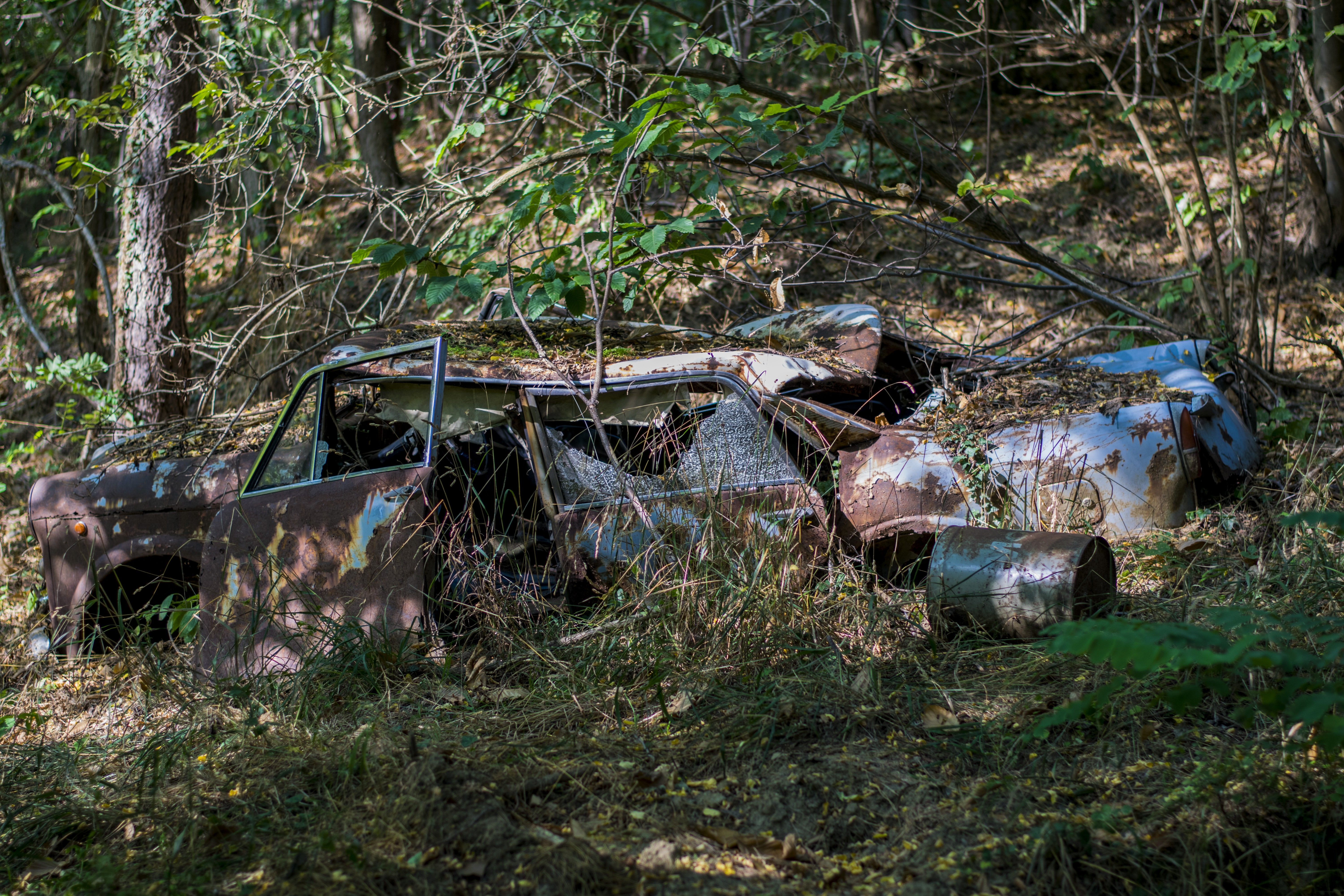 non-urban scene, Vintage car, old car, growth, tree trunk, land, no people, abandoned, damaged, trunk, grass, plant, mode of transportation, wildflowers, HD Wallpaper