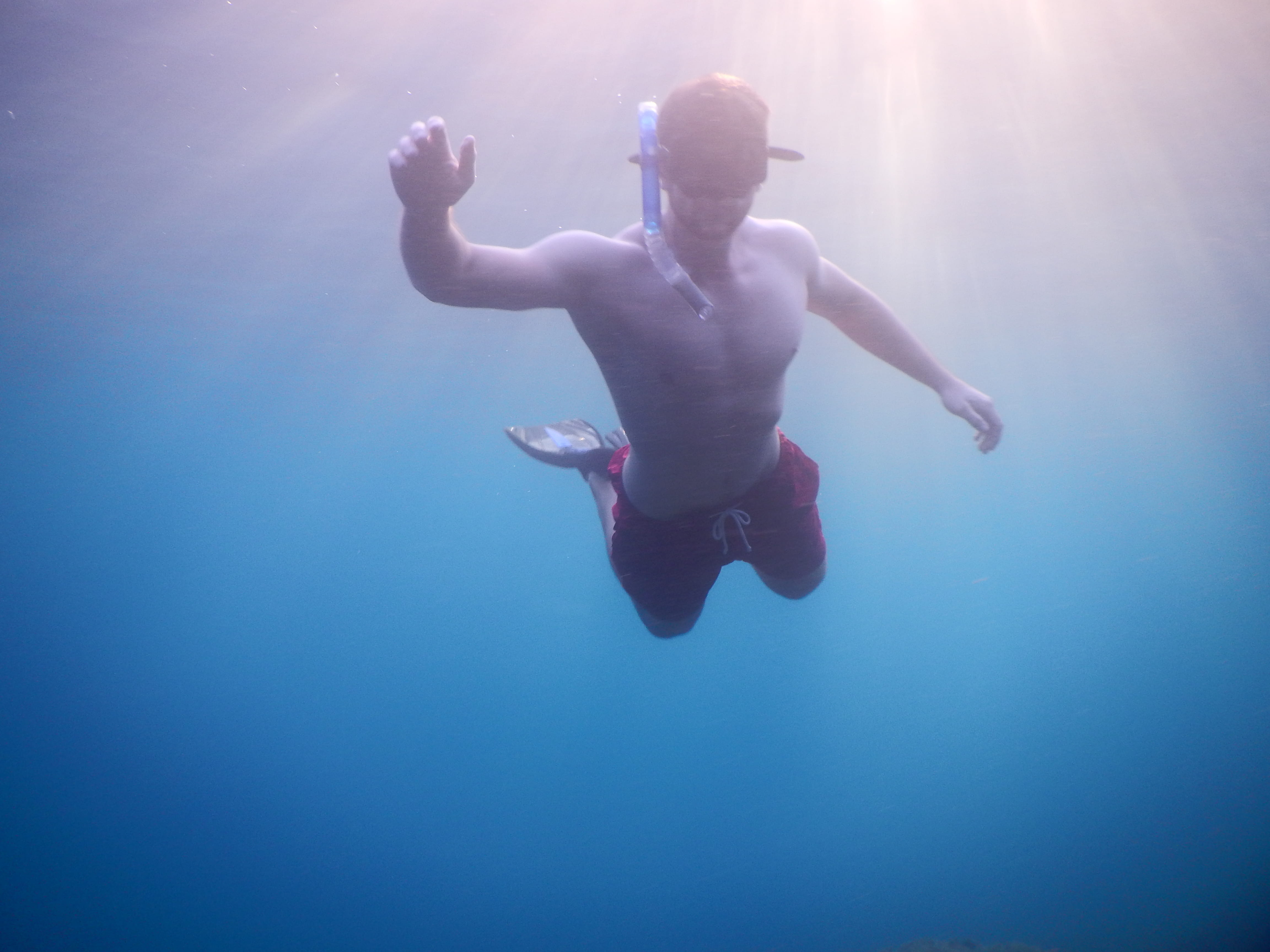 diver, front view, swimming, underwater, nature, blue, italy, one person, arms raised, water, undersea, shirtless, sea, men, sunbeam, real people, diving, HD Wallpaper