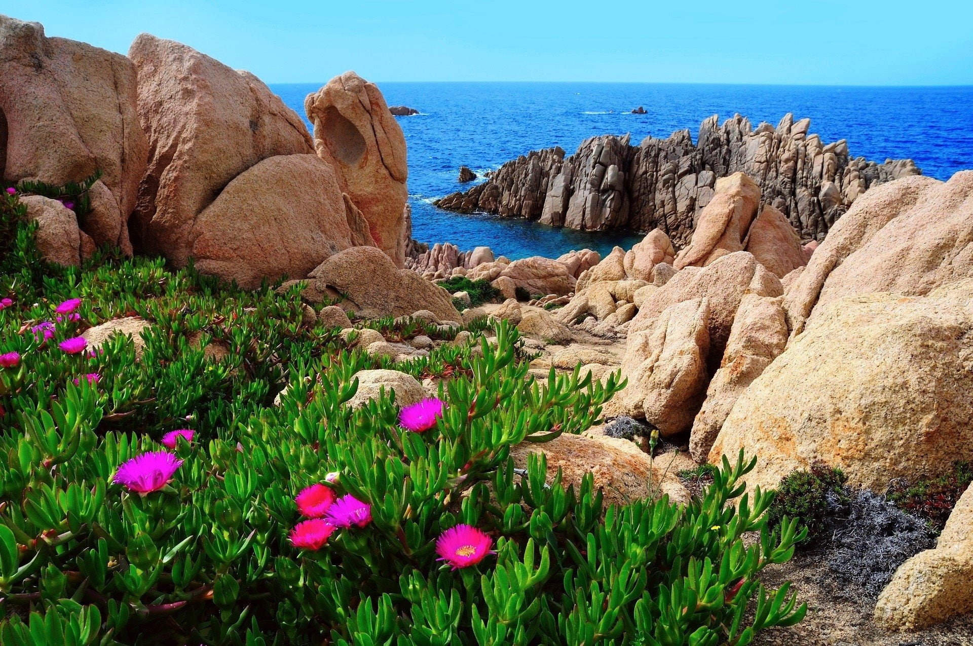 Earth, Coast, Horizon, Coastline, 1080P, Italy, Ocean, Flower, Rock, Sardinia, Sea, HD Wallpaper