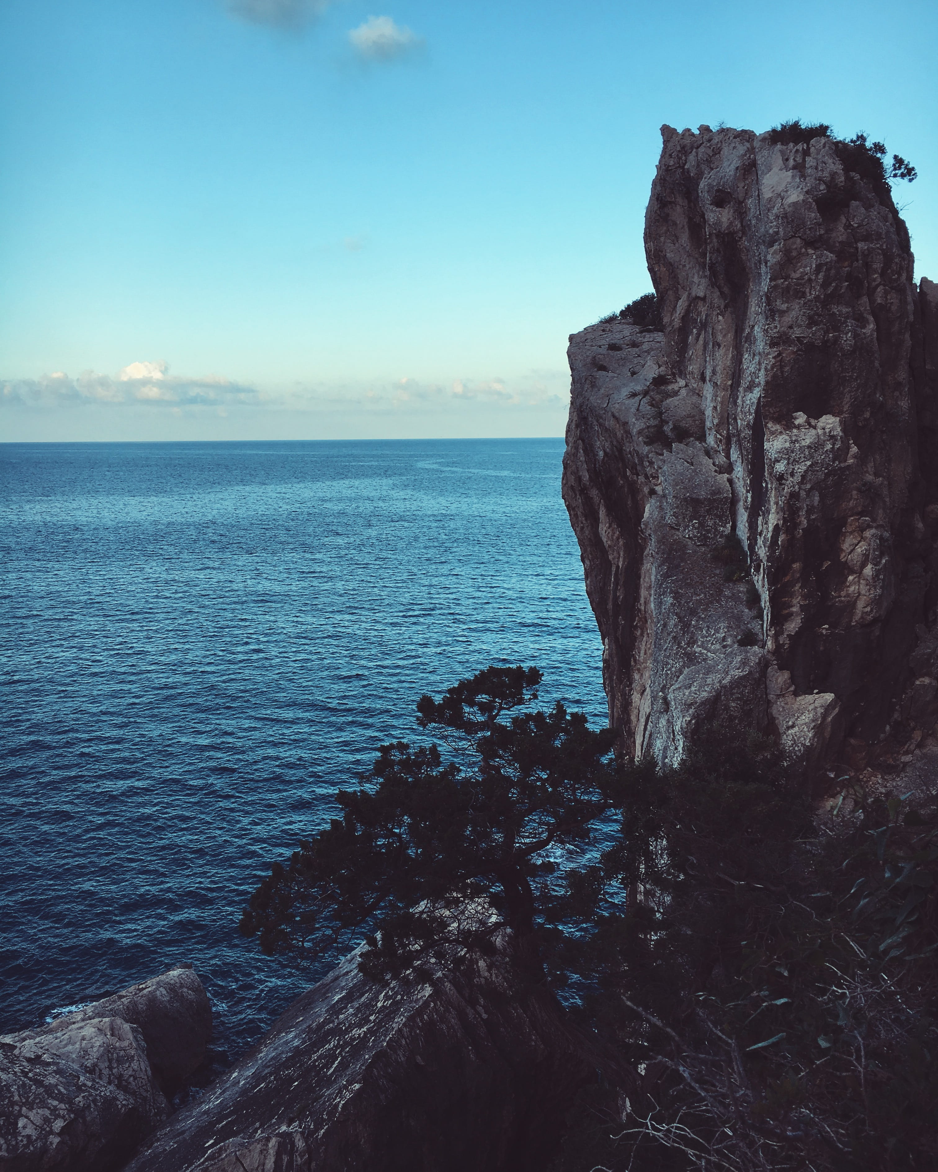 beach, rock, cliffs, sea, sardegna, rocks, trees, sardinia, italy, nature, cliff, rocky coastline, horizon, sky, tranquility, tranquil scene, Phone HD Wallpaper