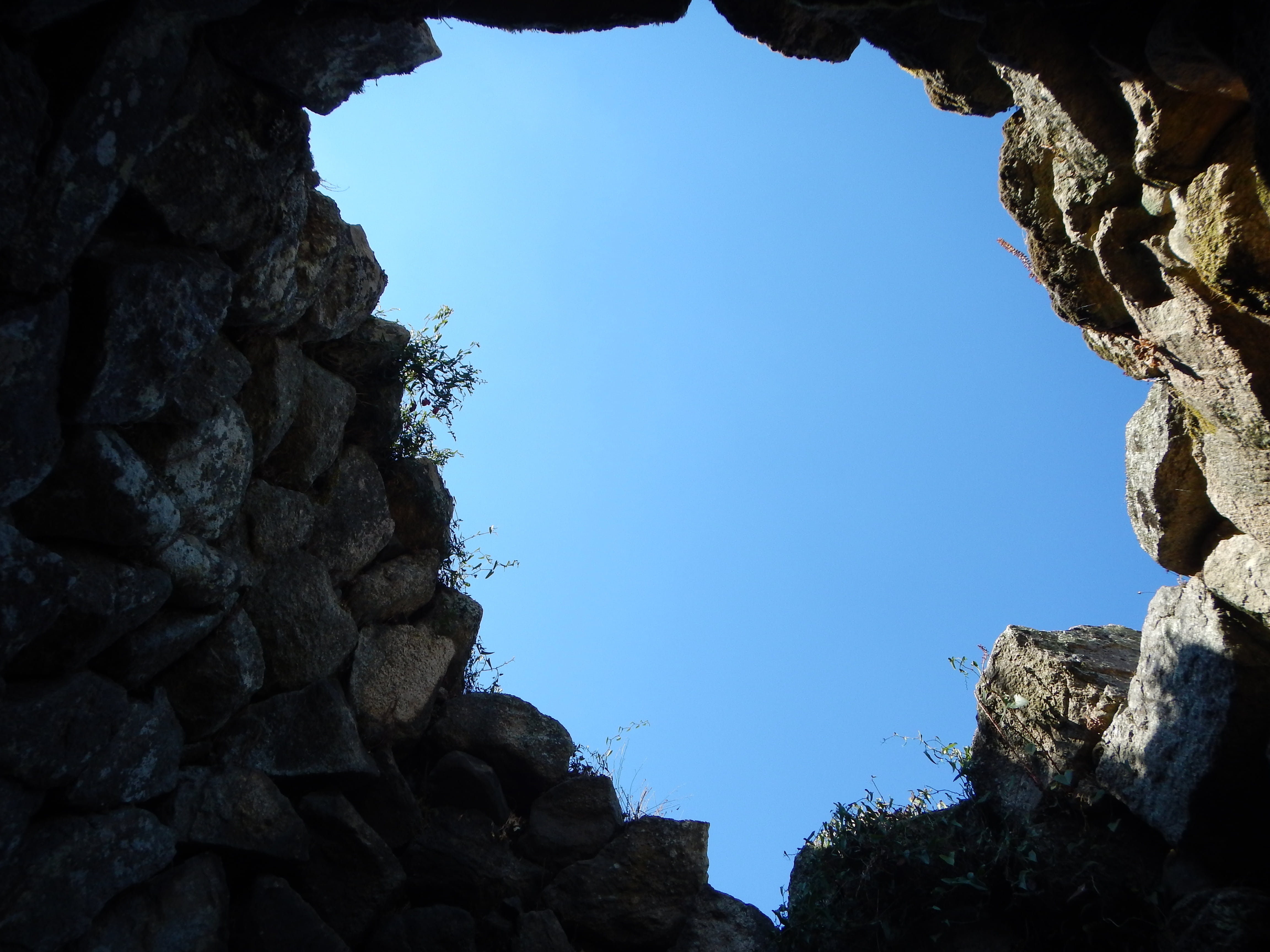 4K, blue, low angle view, tree, day, rock - object, plant, sardinia, sky, growth, clear sky, tranquility, nuraghe majori, stone wall, rock, pattern, rock formation, HD Wallpaper