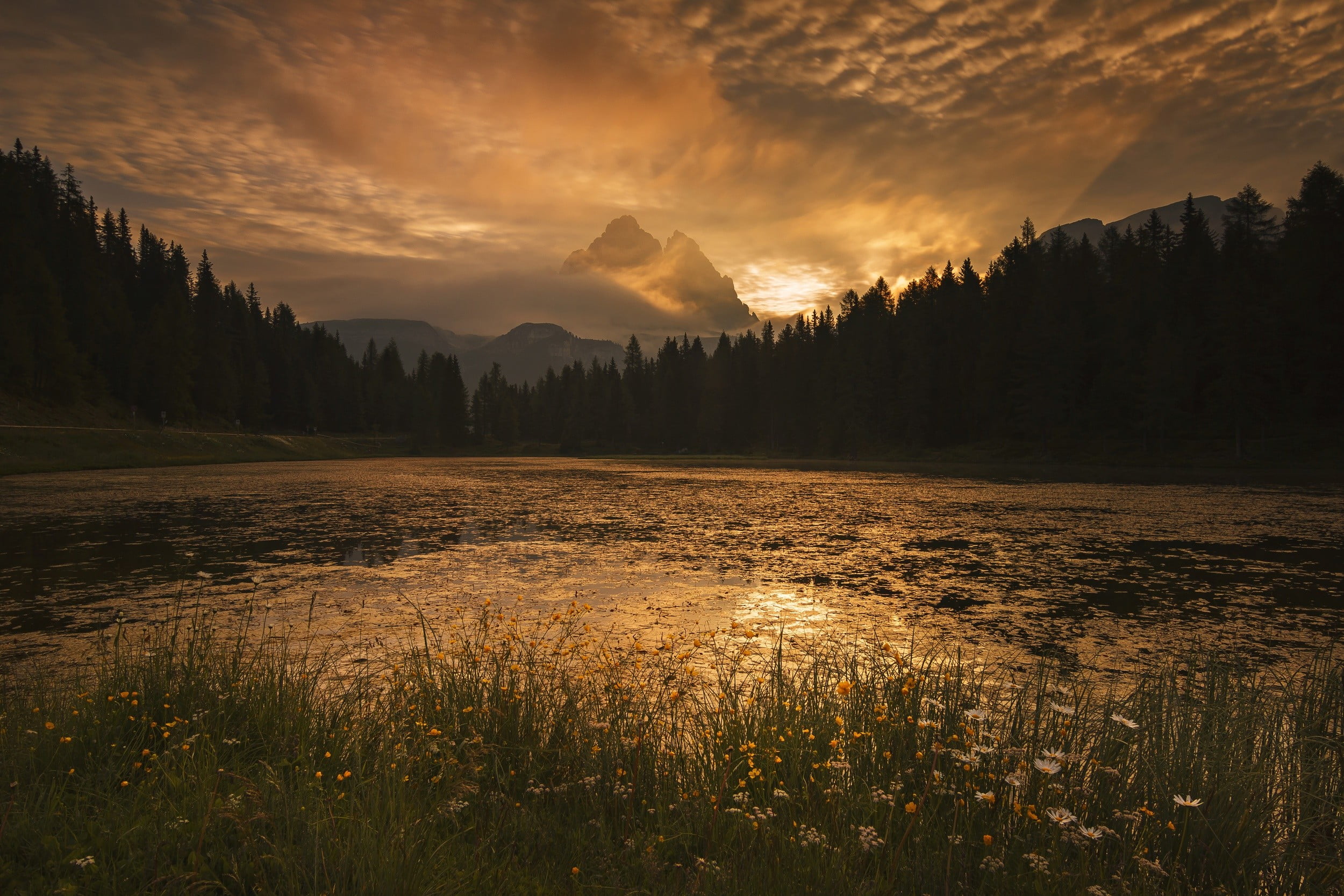 idyllic, cloud - sky, river, mountain, black, tranquility, wildflowers, non-urban scene, 1080P, tree, beauty in nature, photography, sky, landscape, mountain range, HD Wallpaper
