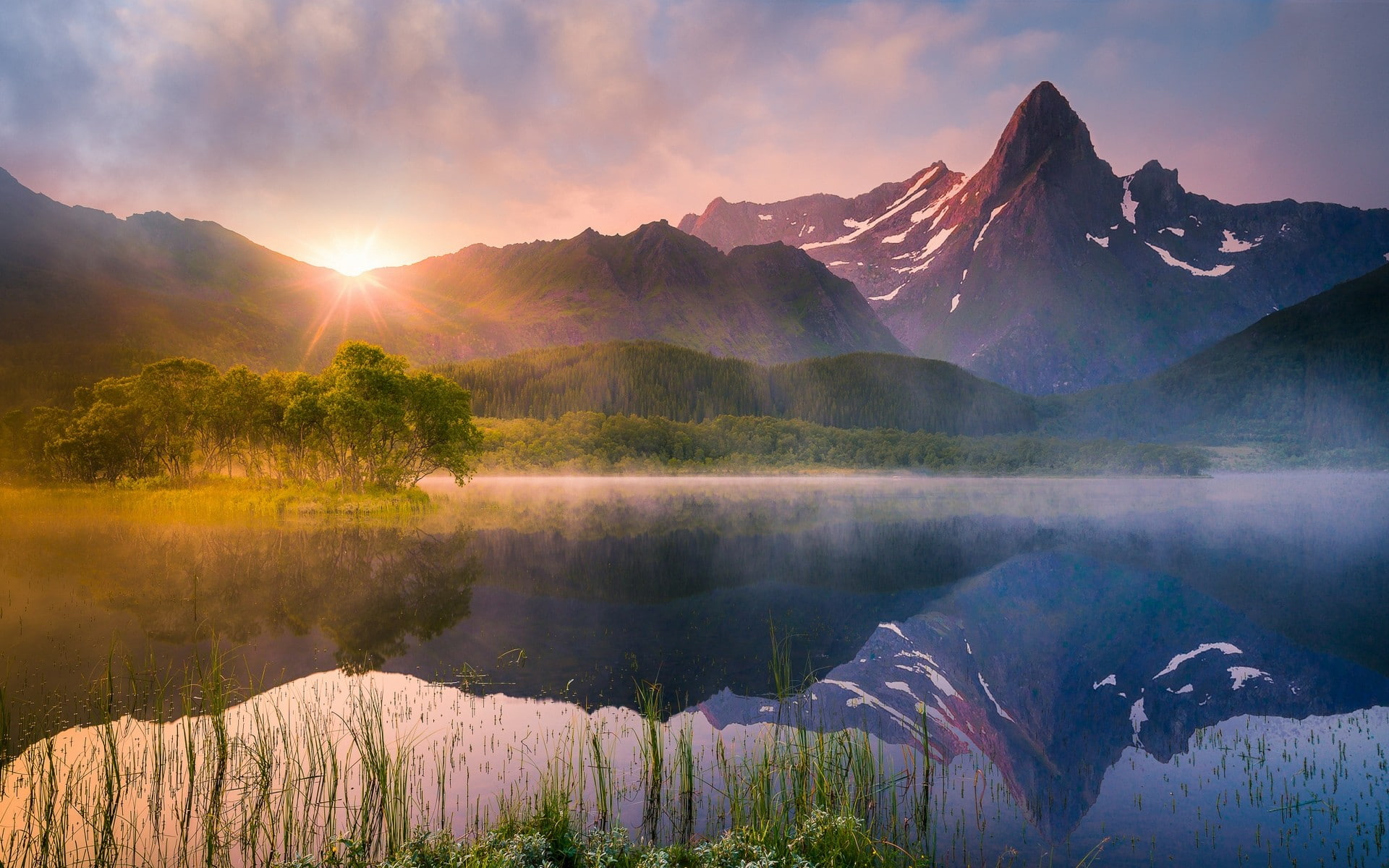 lake, landscape, mountains, nature, reflection, 1080P, forest, Norway, water, mist, trees, wildflowers, summer, HD Wallpaper
