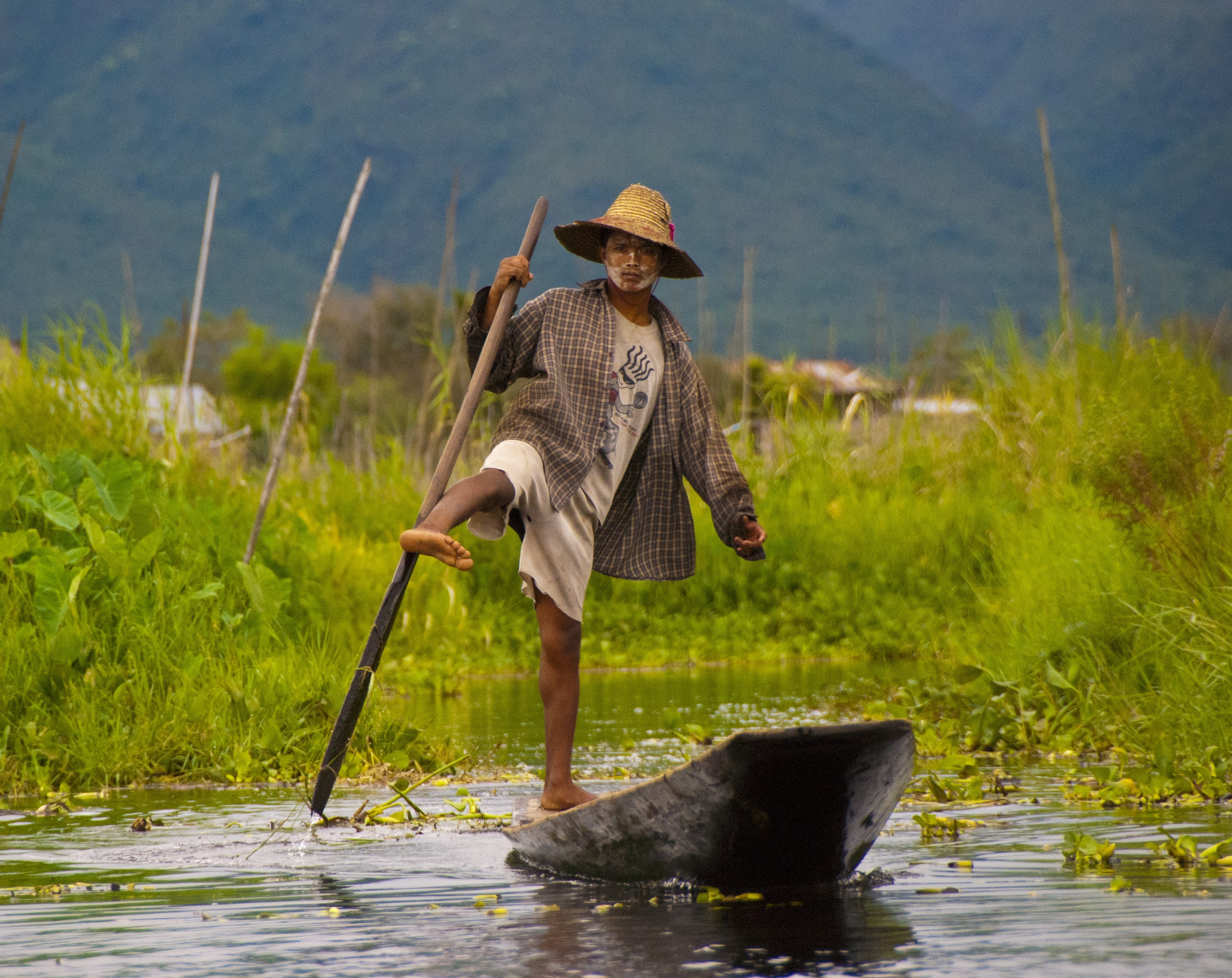 lifestyles, people, agriculture, farmer, full length, 2K, hat, Burma, green color, rice Paddy, asian style conical hat, rural Scene, Myanmar, day, clothing, HD Wallpaper