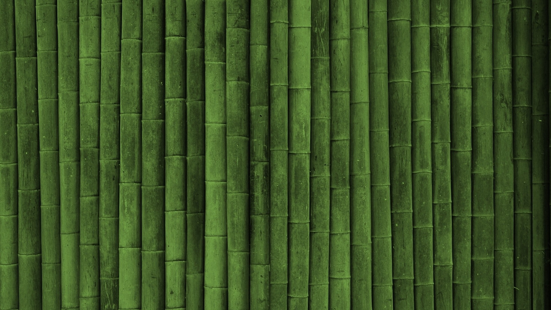 1080P, minimalism, bamboo, HD Wallpaper