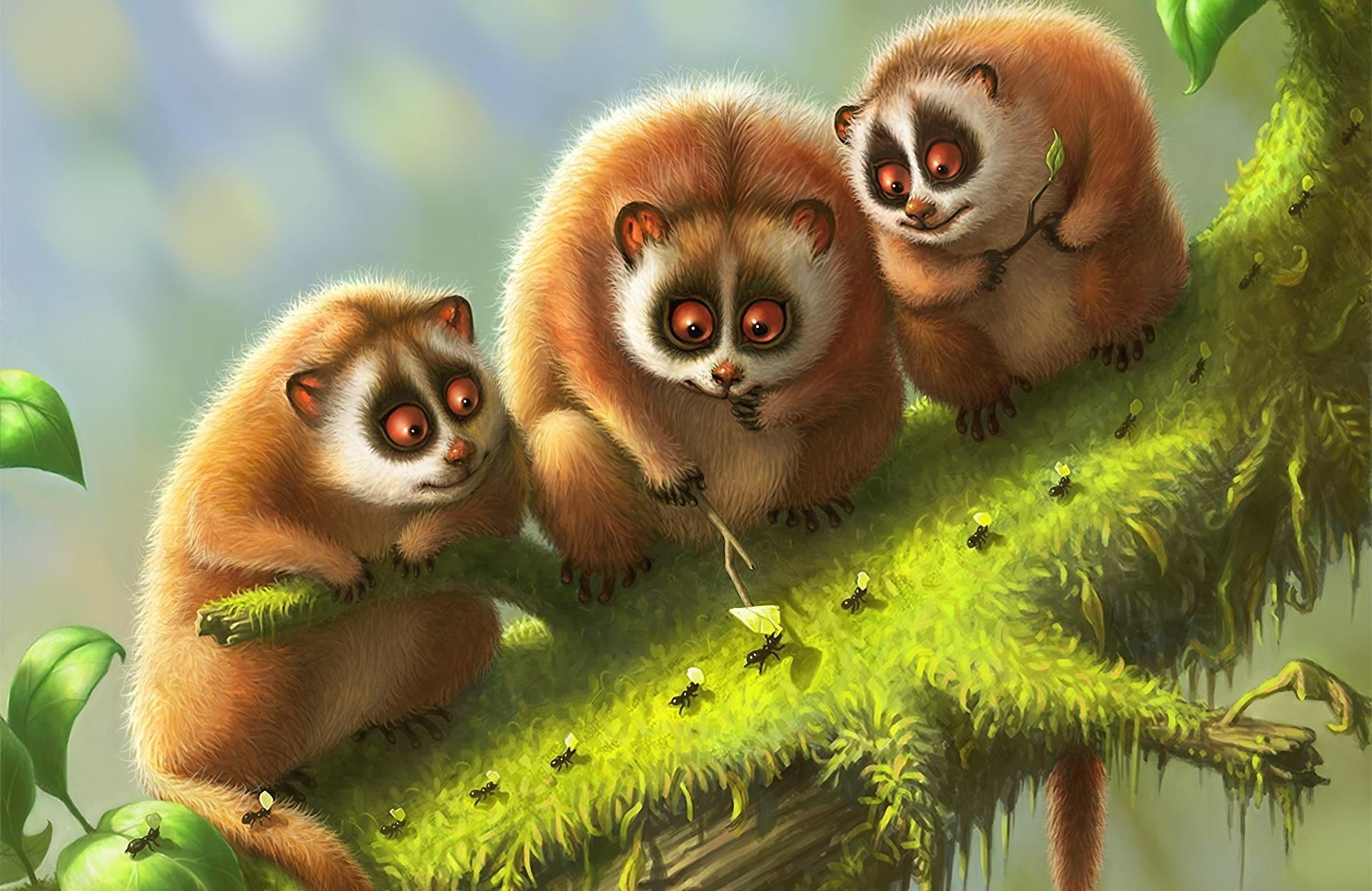 cute, animals, bears, 1080P, jiang zhi, tree, HD Wallpaper