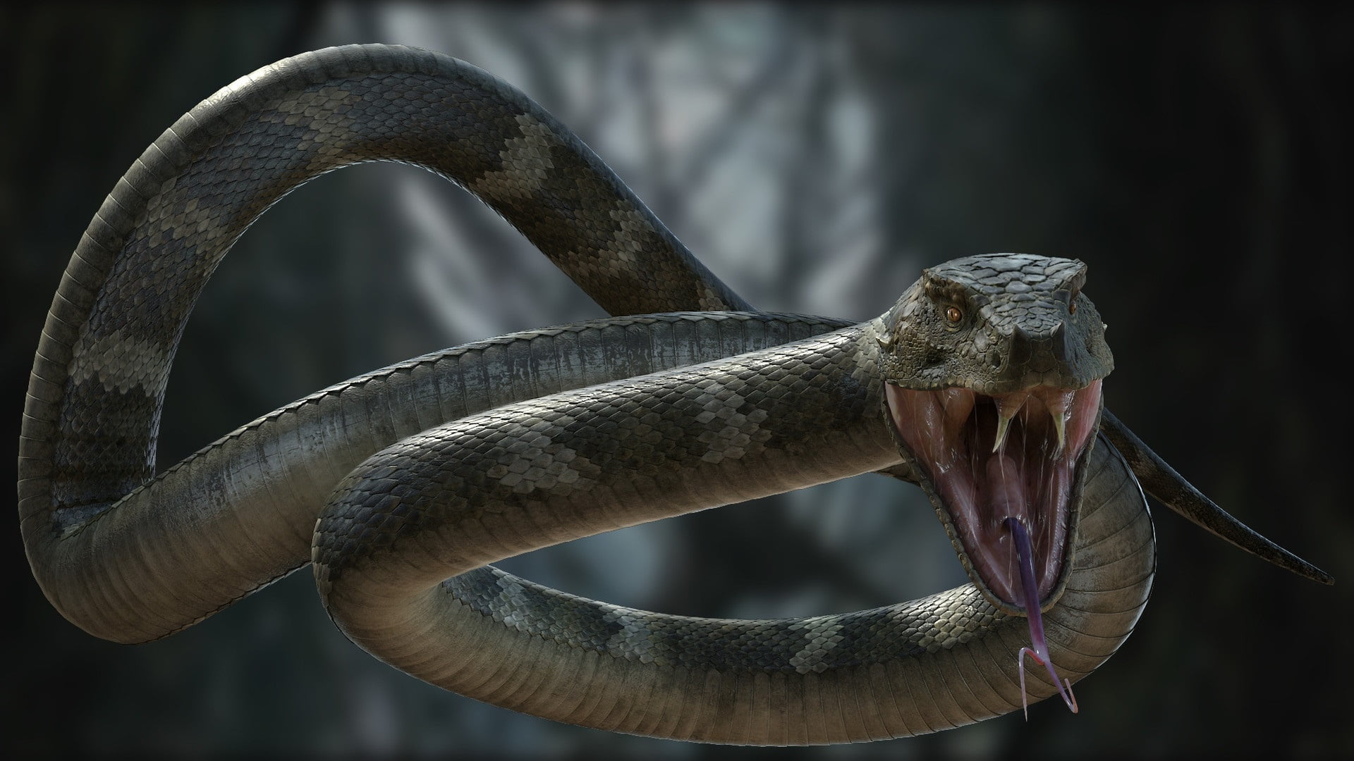 yi jiang, throw, snake, art, bite, 1080P, HD Wallpaper