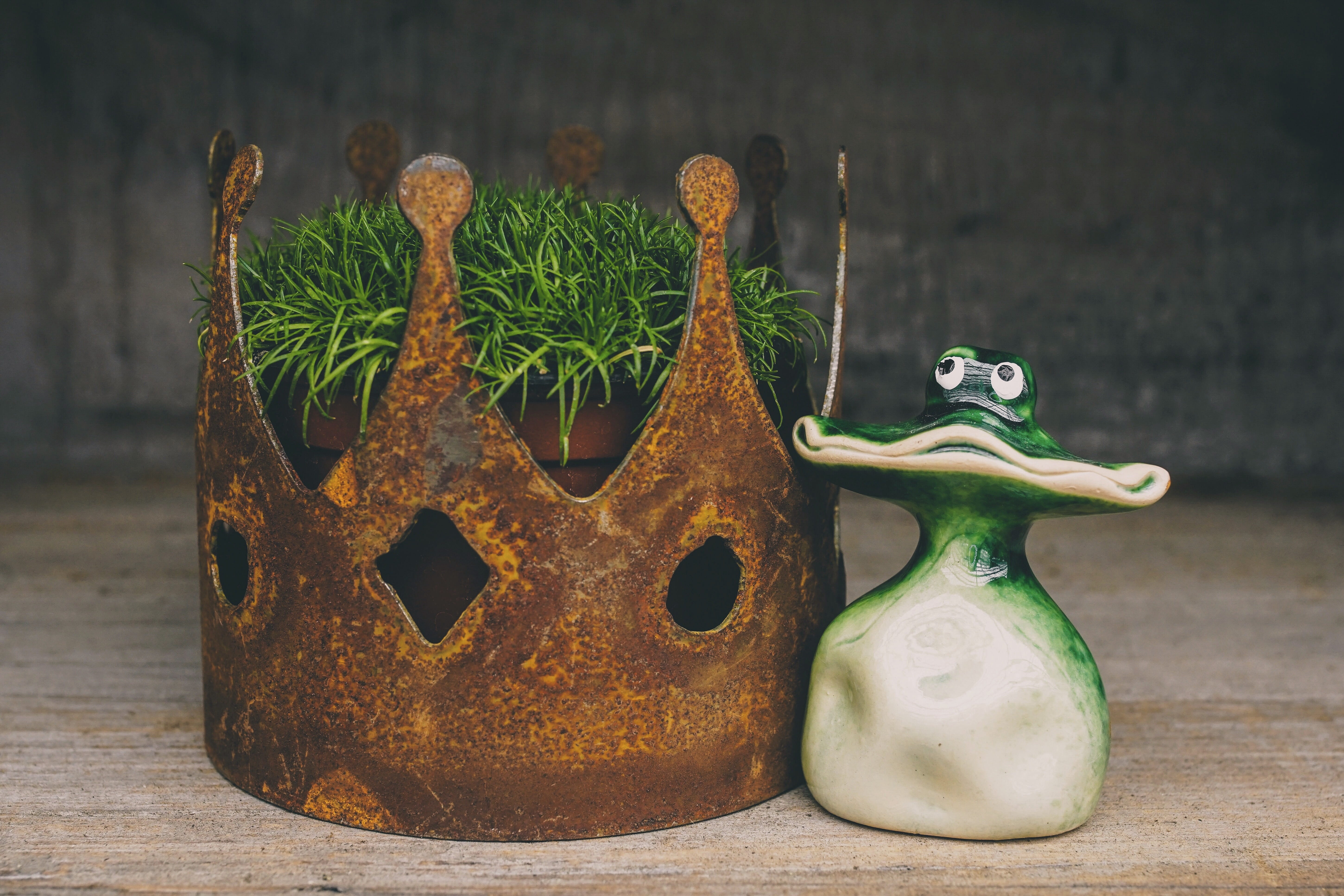 craft, close-up, 5K, table, decoration, frog, no people, decorative, figure, creativity, deco, flora, day, plant, frog prince, indoors, green, funny, art and craft, HD Wallpaper