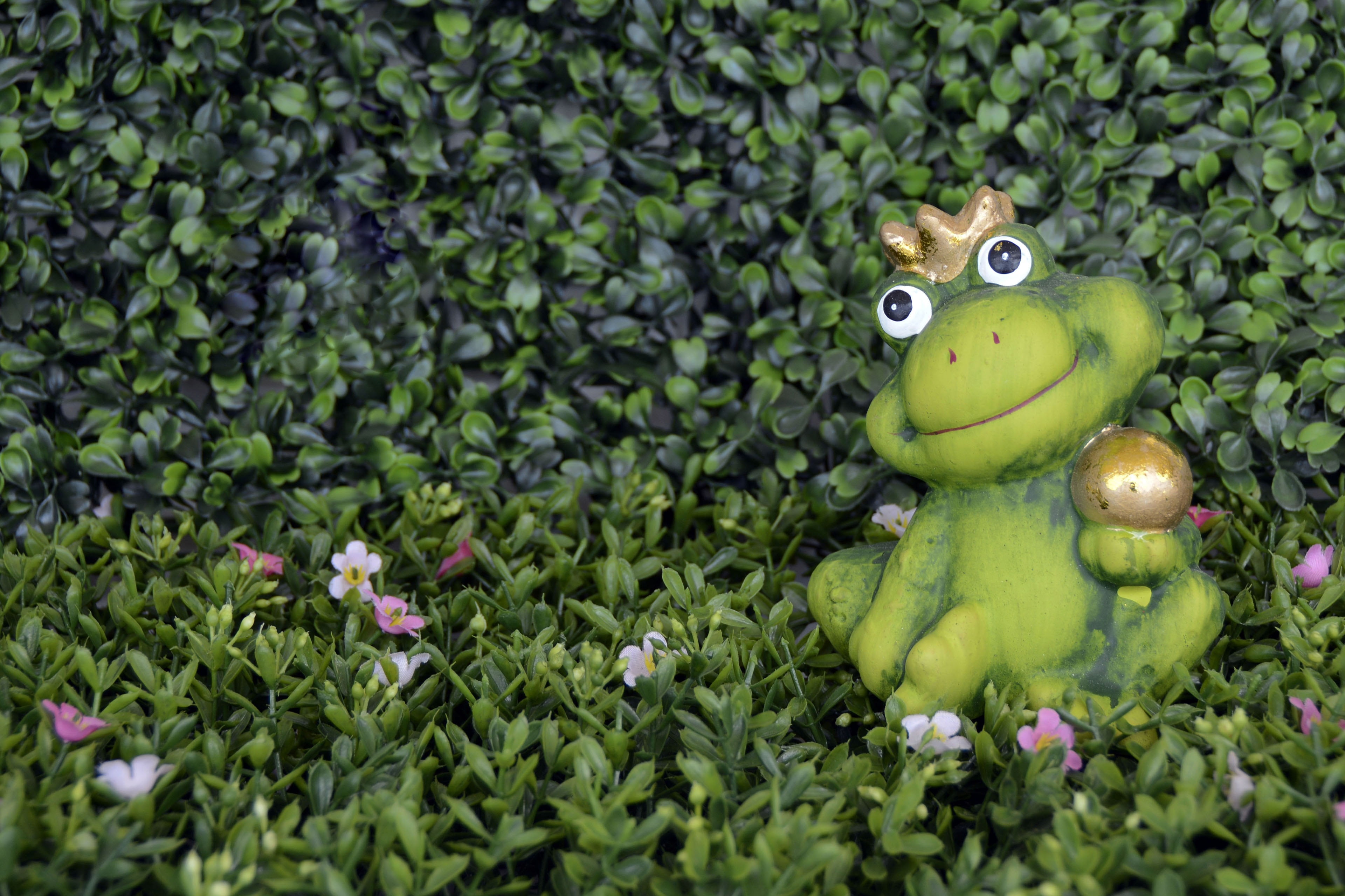 figurine, animal representation, no people, close-up, fulfill a wish, crown, creativity, growth, fruit, freshness, kiss, outdoors, food, nature, wellbeing, HD Wallpaper