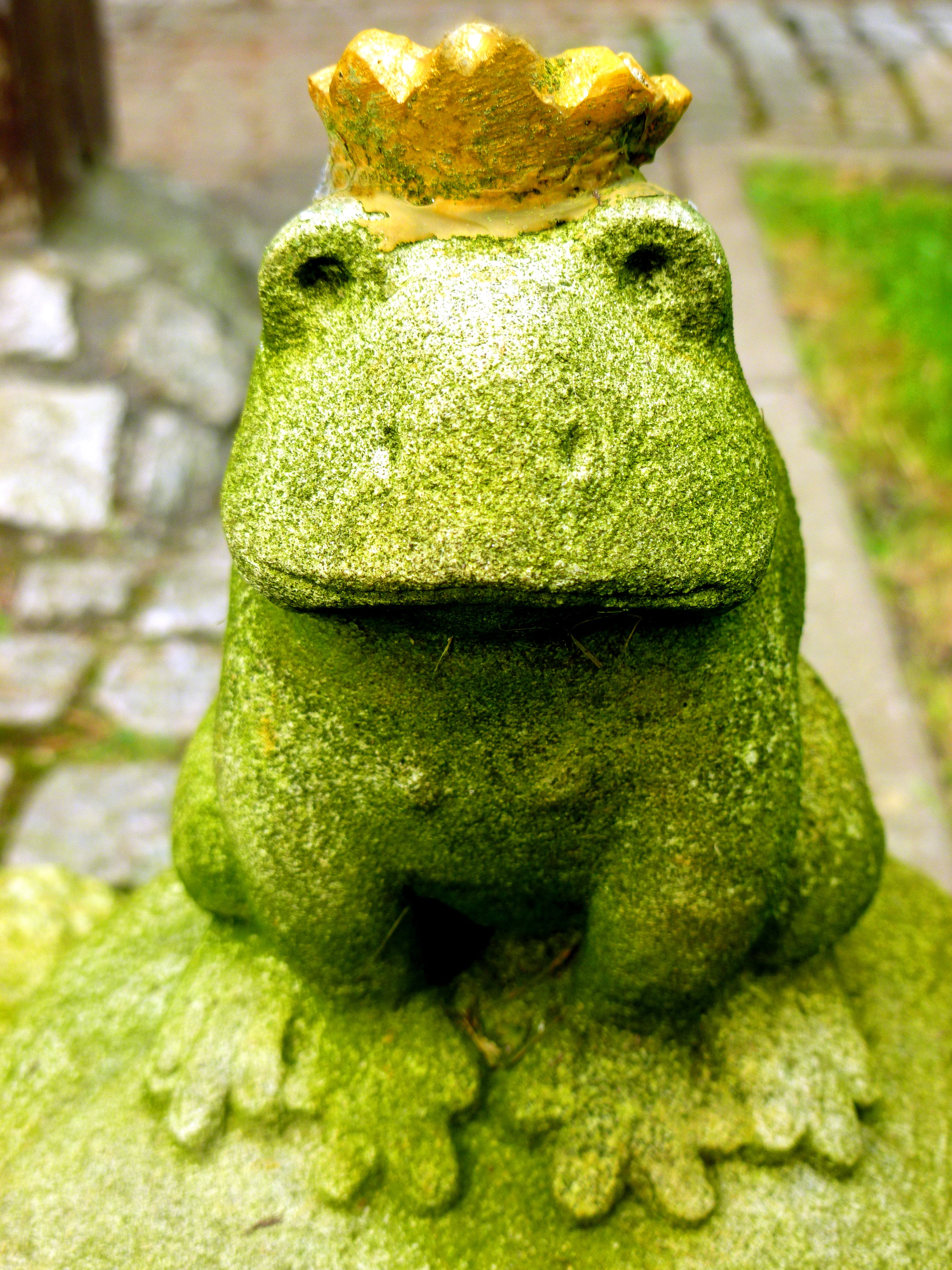 enchanted, art and craft, no people, moss, stack, animal, figure, prince, fairy tale, creativity, outdoors, frog prince, green Color, day, food, close-up, Phone HD Wallpaper