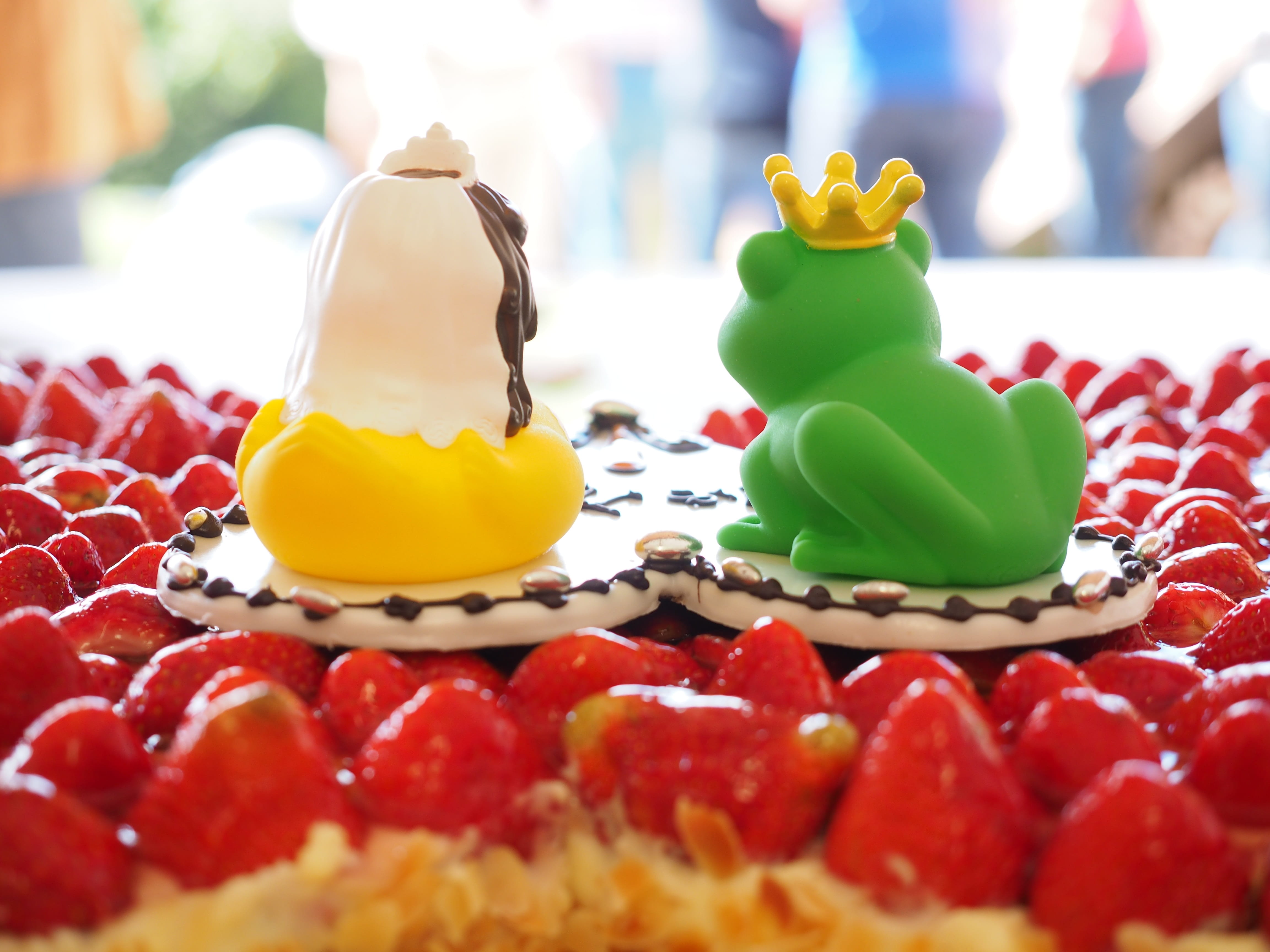 animal representation, frog prince, princess, sweet food, indoors, strawberries, close-up, temptation, still life, selective focus, wedding cake, food and drink, HD Wallpaper