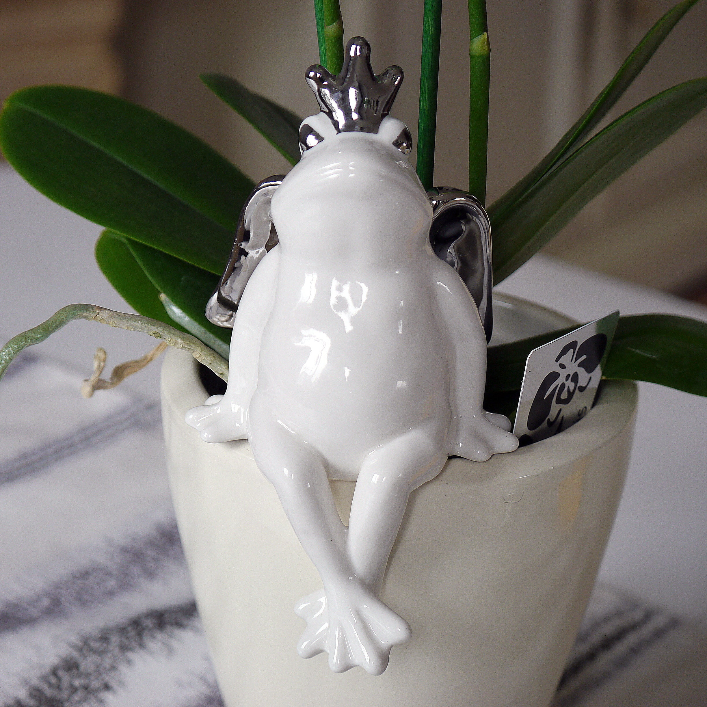 white color, vintage, christmas ornament, plant part, nature, live, no people, close-up, green color, focus on foreground, christmas, figure, holiday, frog prince, Phone HD Wallpaper