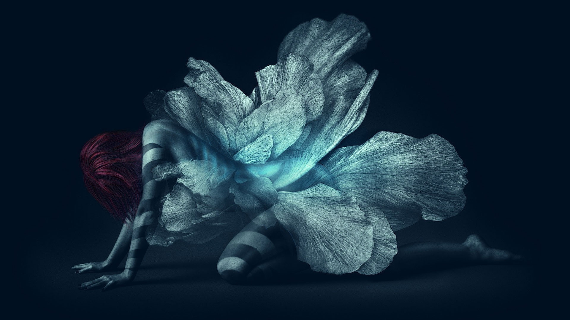 freshness, inflorescence, flower head, 1080P, indoors, redhead, still life, fairies, fantasy girl, red, close-up, growth, petal, artwork, vulnerability, HD Wallpaper