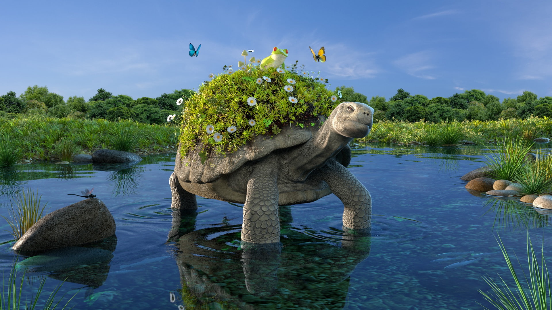 frog, 1080P, Stroll bucolic, pond, turtle, HD Wallpaper