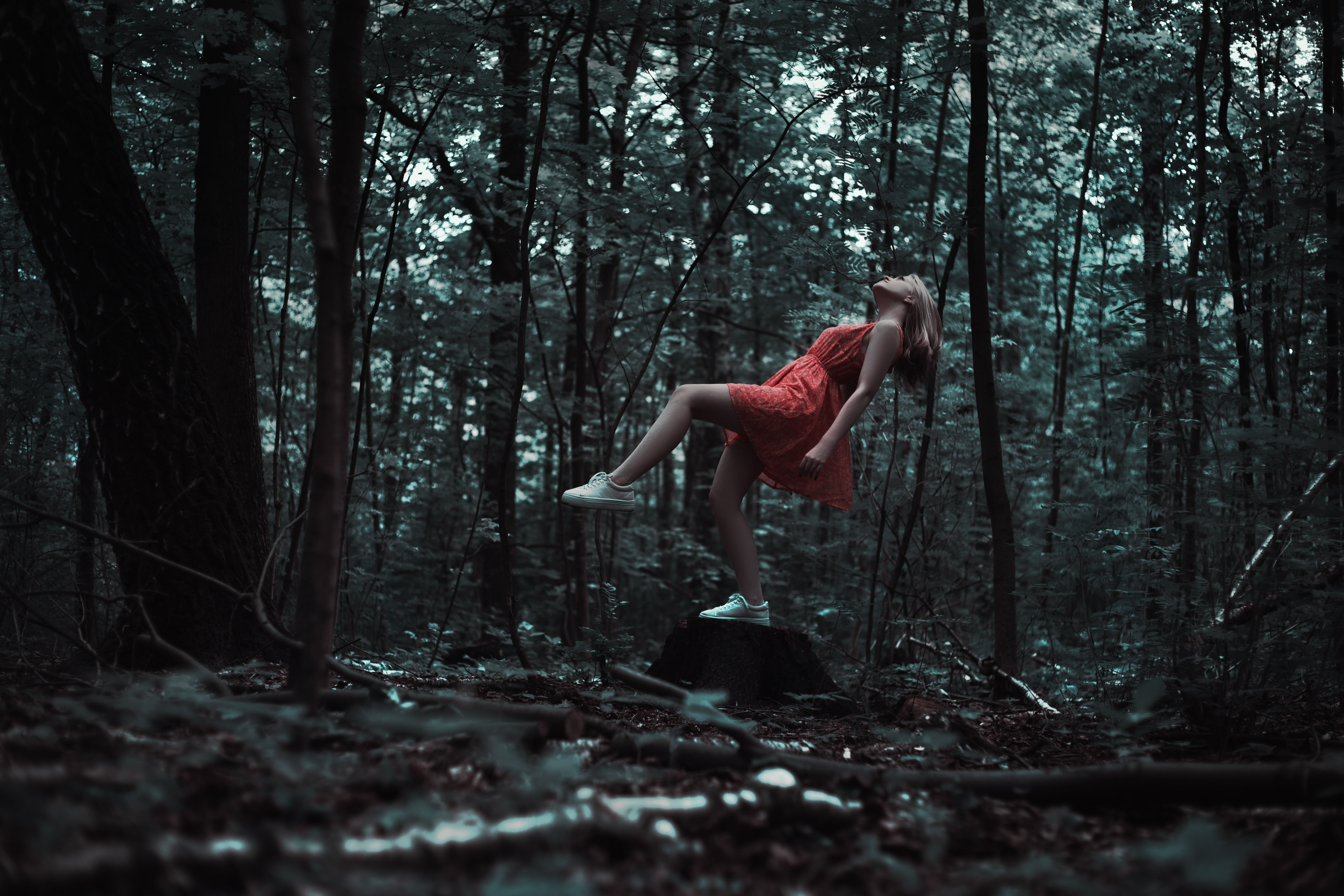 wearing, posture, hanging, photoshoot, yoga, hairstyle, one person, outdoors, weightlessness, ways, trees, girls, healthy lifestyle, forest, living nature, HD Wallpaper