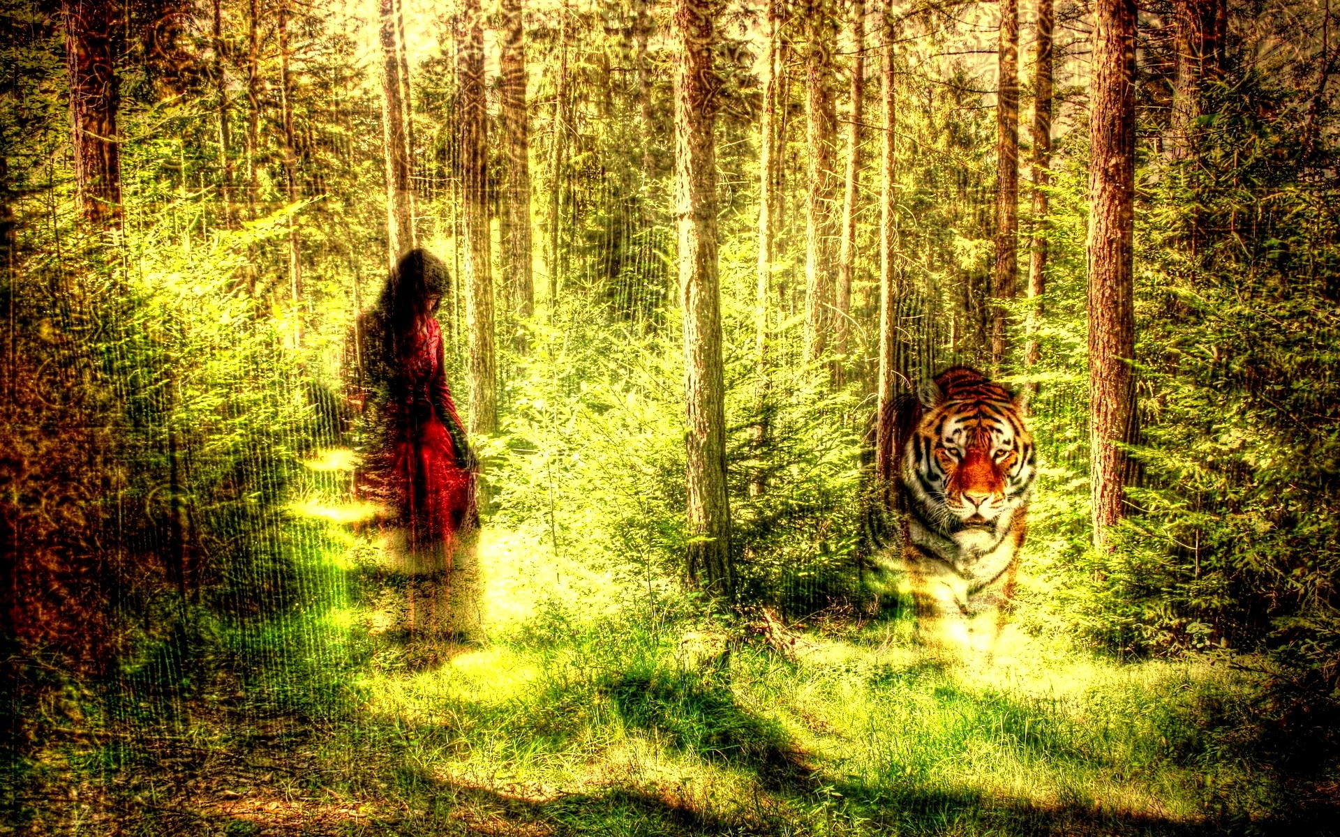 a tiger, stroll, a girl, 1080P, woods, forest, style, 3d and abstract, texture, HD Wallpaper
