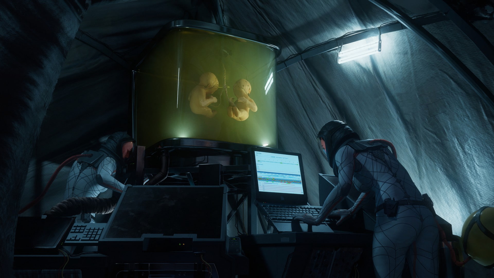 1080P, embryo, science fiction, artwork, science, HD Wallpaper