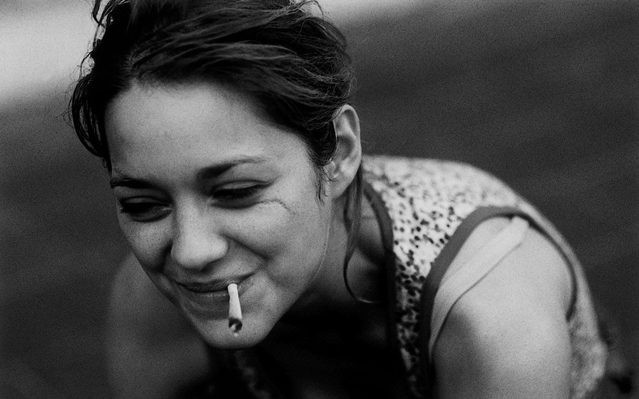 720P, Actresses, Marion Cotillard, HD Wallpaper