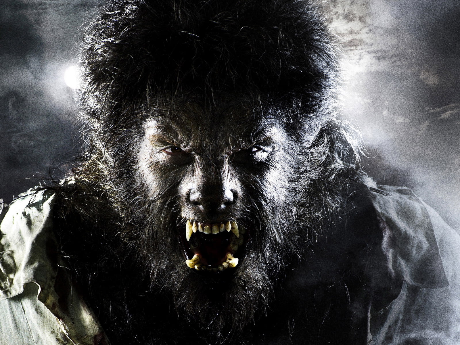 monster - Fictional Character, wildlife, people, spooky, looking, aggression, The Wolfman, Benicio Del Toro, one animal, mouth open, evil, gorilla, fur, HD Wallpaper