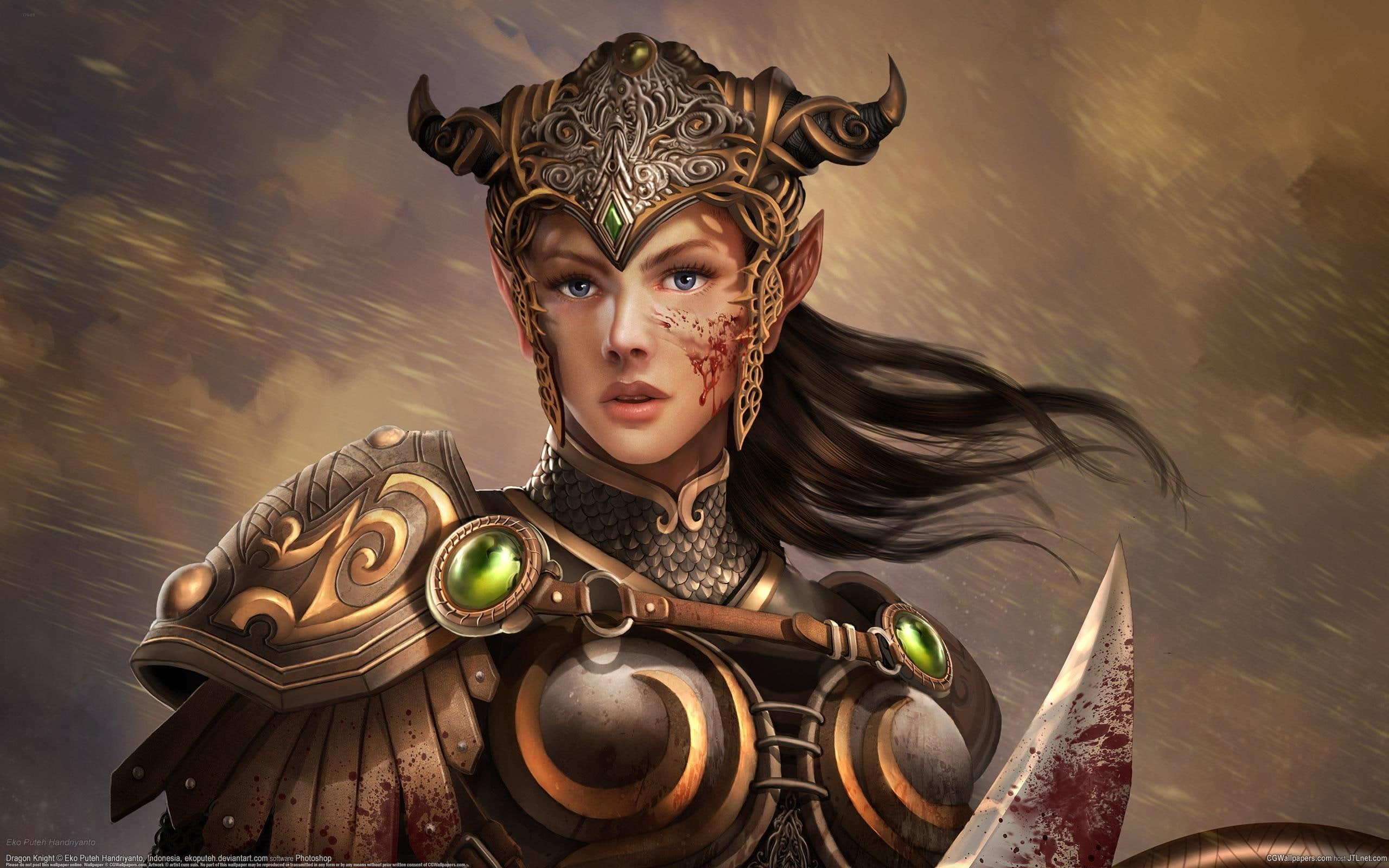 Knight, 2K, Elf, Girl, Armor, Warrior, HD Wallpaper