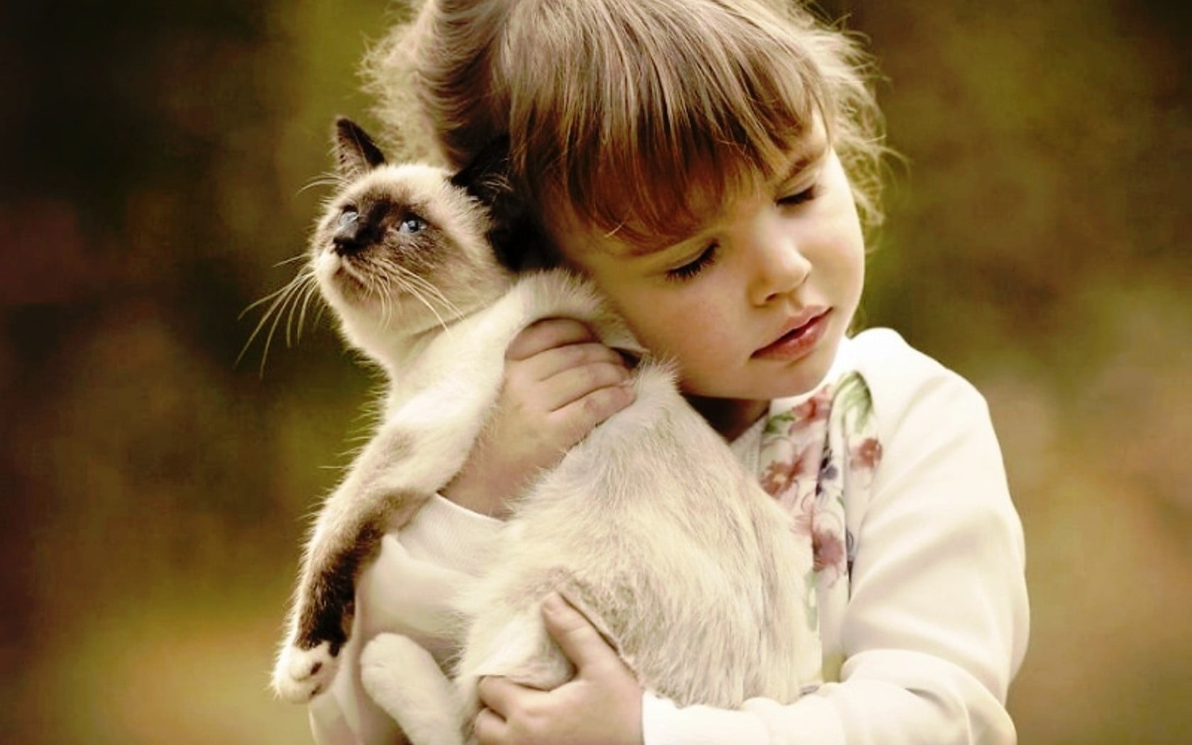 brown, 720P, children, black, cat, HD Wallpaper