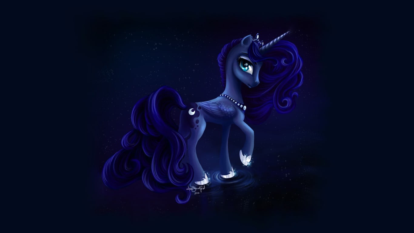 Luna, entertainment, purple, animal, underwater, marine, studio shot, indoors, invertebrate, no people, sea, 720P, close-up, copy space, beauty in nature, HD Wallpaper