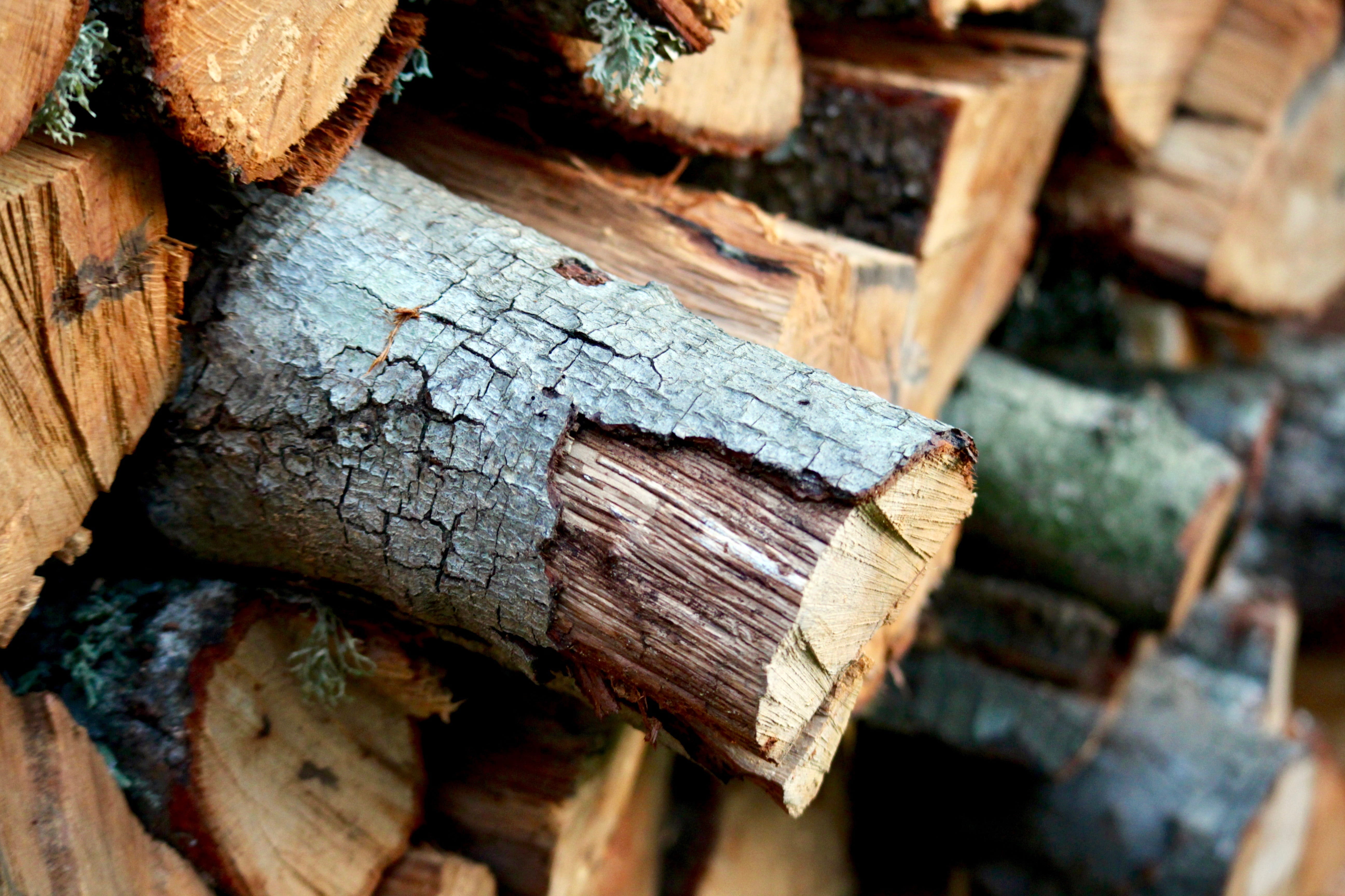 fire, timber, full frame, stack, logs, textured, fuel and power generation, autumn, lumber, focus on foreground, deforestation, 5K, heat, no people, nature, HD Wallpaper
