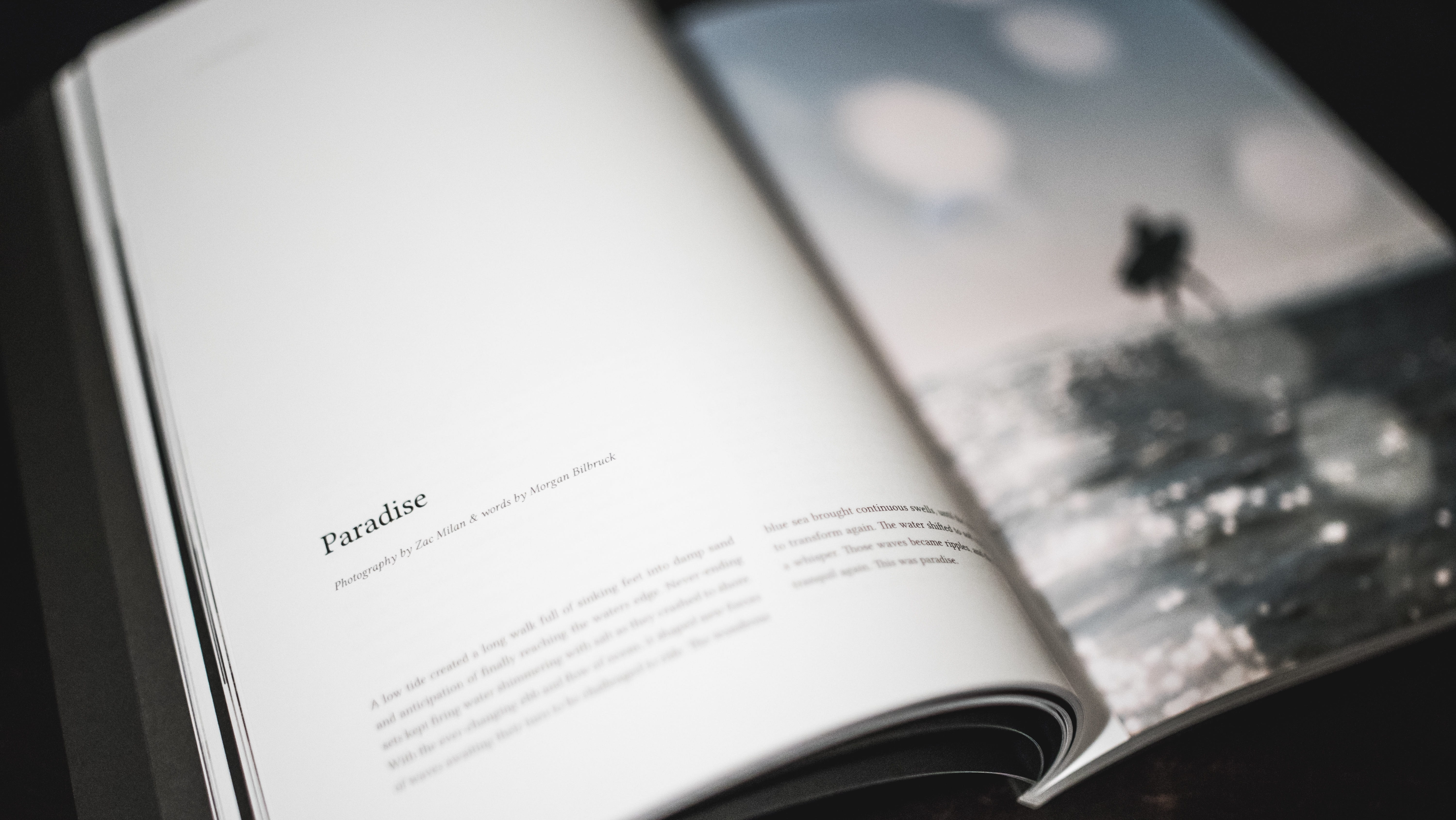beach, black and white, legal system, evidence, blur, justice - concept, book, high angle view, close-up, studio shot, paper, letters, indoors, bokeh, communication, HD Wallpaper