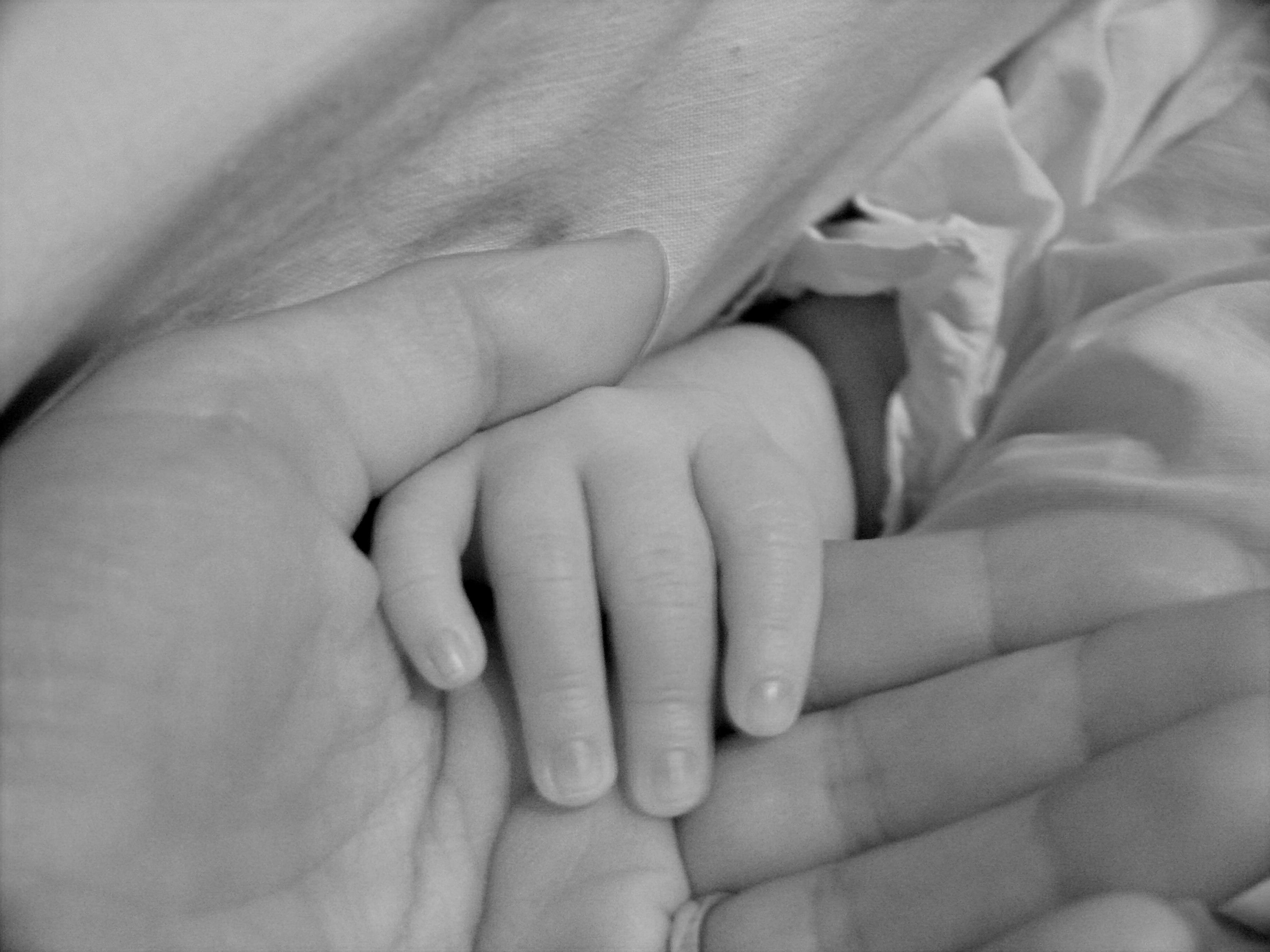 s, finger, holding, grandchildren, love, lifestyles, parent, human Hand, body part, mother, fingers, gray, togetherness, daughter, adult, hands, two people, HD Wallpaper