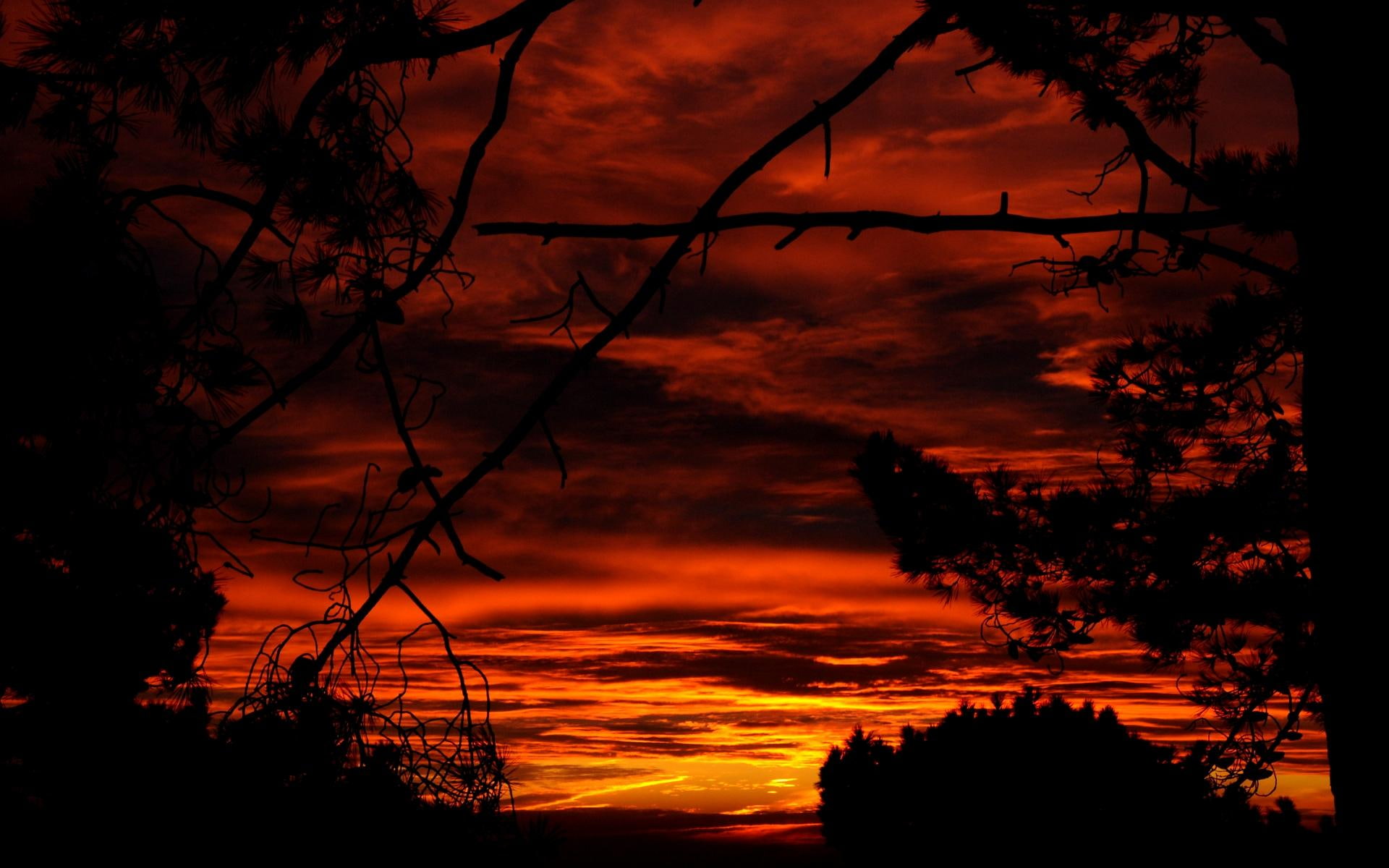 sunrise, bretagne, picture, clouds, holidays, black, color, calming, nice, 1080P, dreamy, burning, gold, mysterious, HD Wallpaper