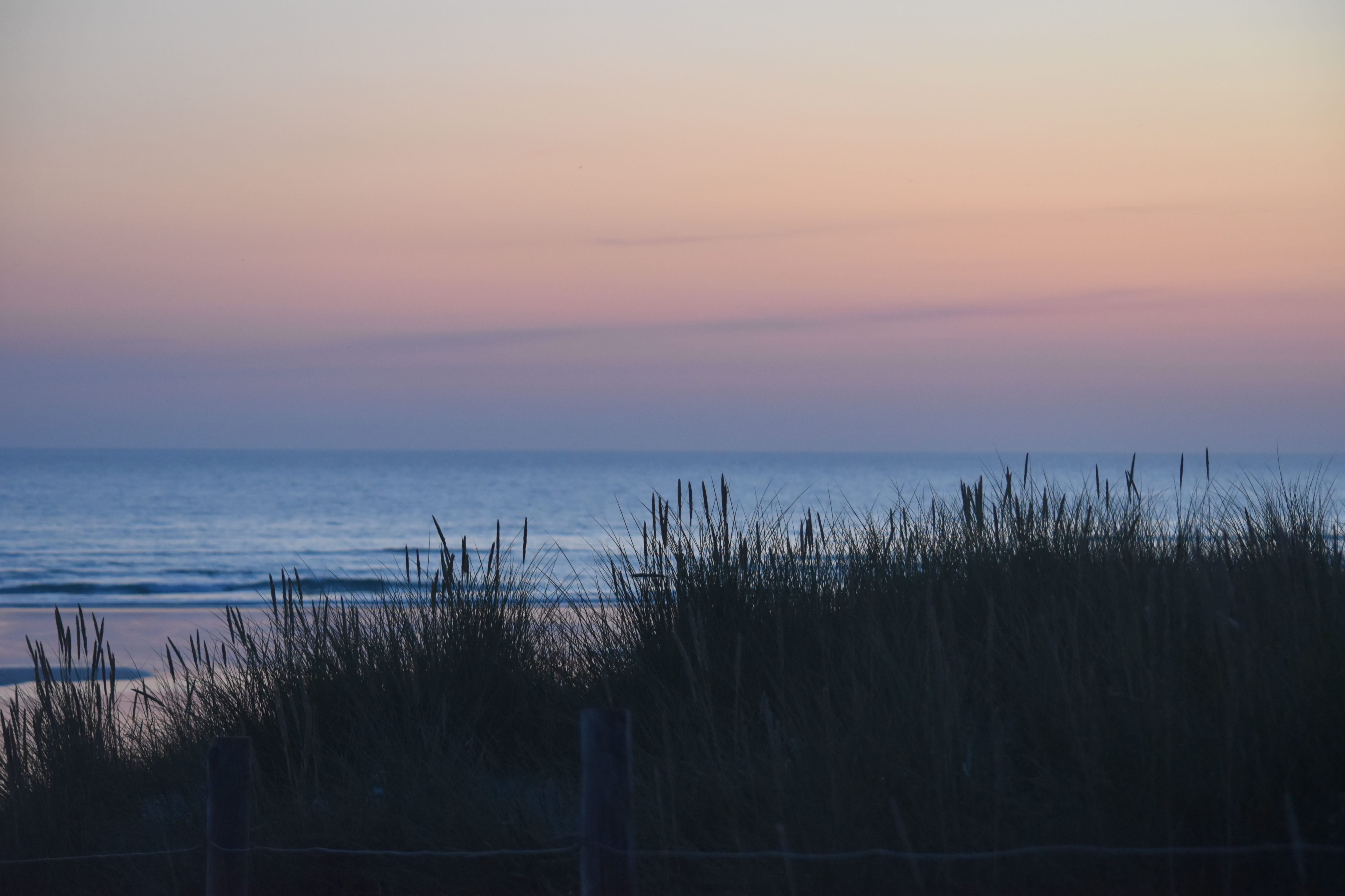 sky, plant, cloud - sky, bretagne, gras, horizon, beauty in nature, tranquility, france, beach, outdoors, scenics - nature, sea, orange color, grass, sand, HD Wallpaper