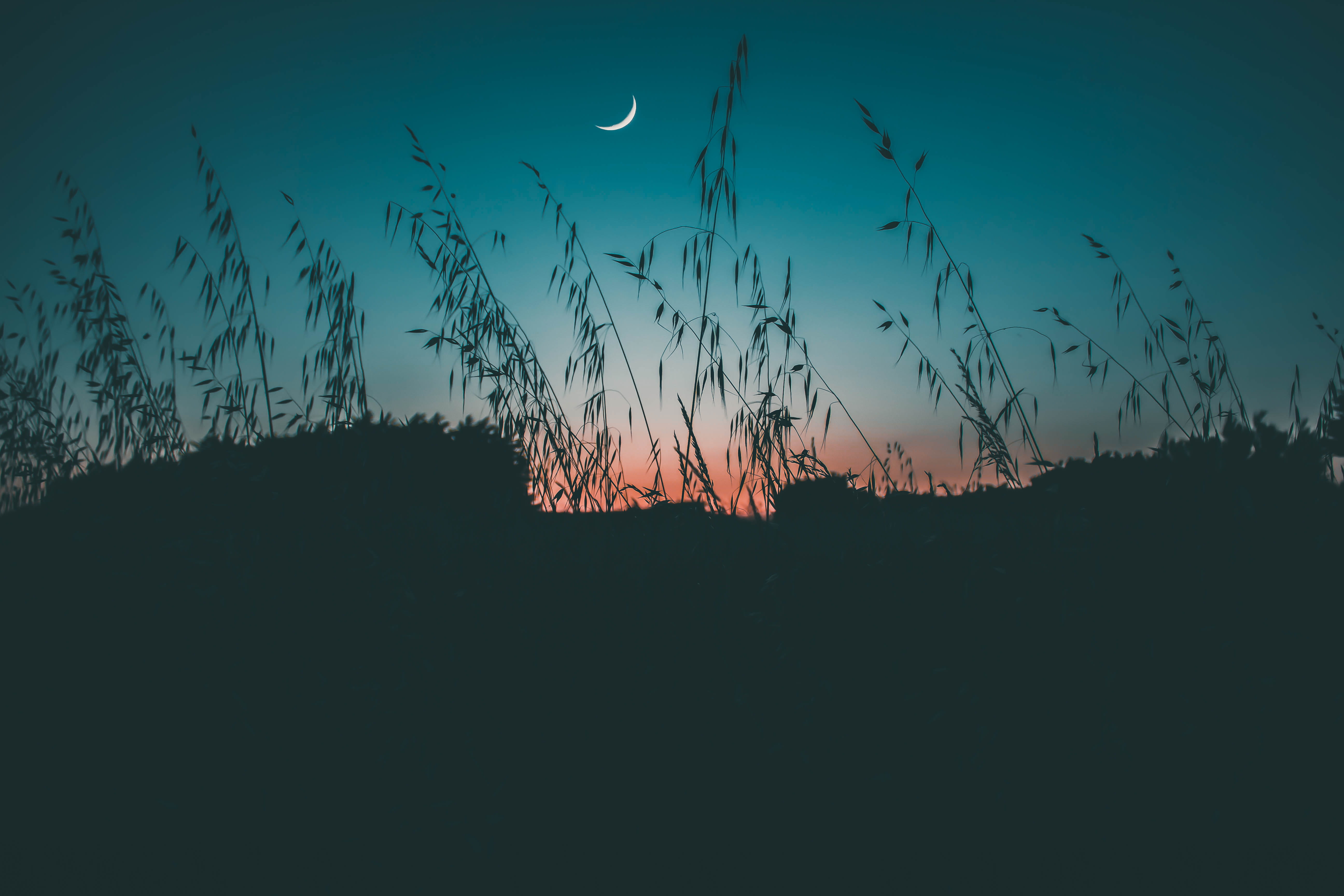 tranquility, cloud - sky, moon, sky, outdoors, bretagne, sunset, colors, holiday, environment, travelers, tree, dusk, copy space, silhouette, sunsets vibes, HD Wallpaper