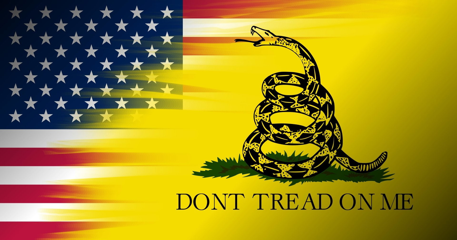Flags, 1080P, Gadsden Flag, HD Wallpaper