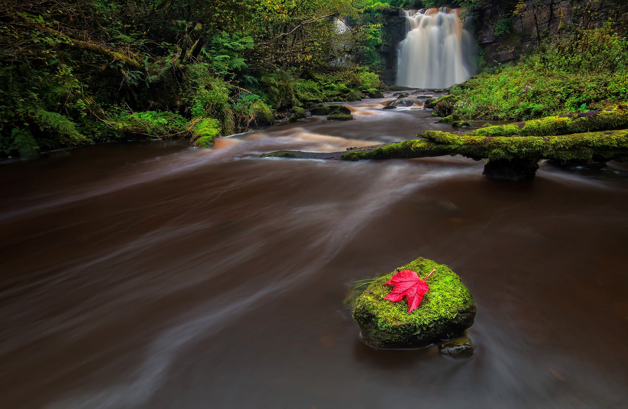freshness, growth, blurred motion, waterfall, leaves, nature, 1080P, rock, flowing, flowing water, long exposure, green color, river, tree, water, outdoors, HD Wallpaper