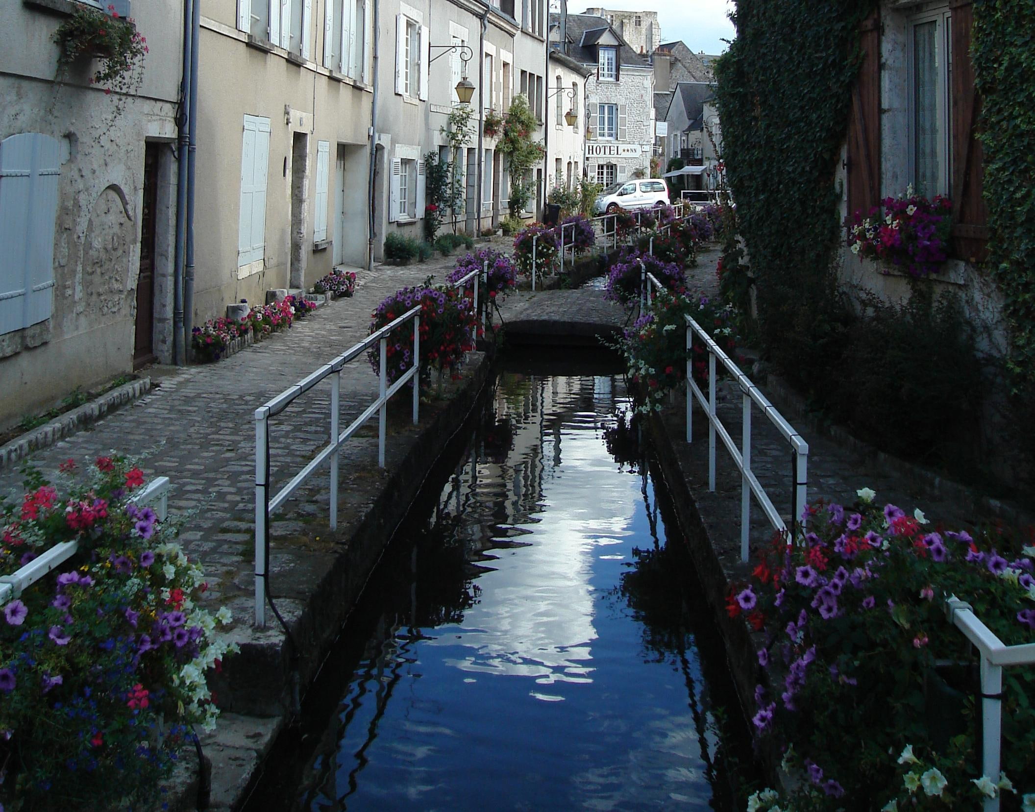 france, europe, 1080P, beauty, loire valley, flowers, beaugency, thing, nature and landscapes, HD Wallpaper