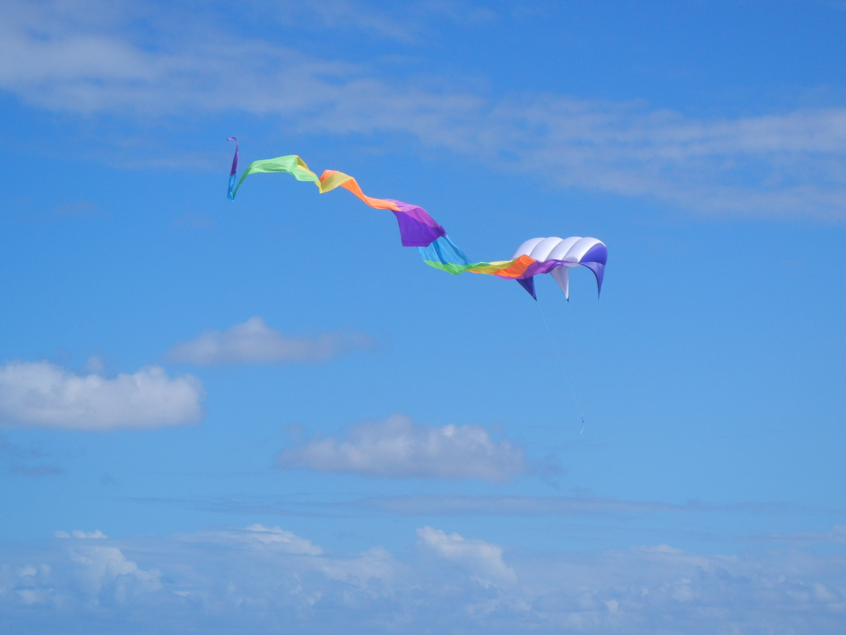gliding, water, multi Colored, 2K, freedom, low angle view, multicolored, hobbies, flying, nature, action, recreational Pursuit, mid-Air, sport, fun, cloud - Sky, HD Wallpaper