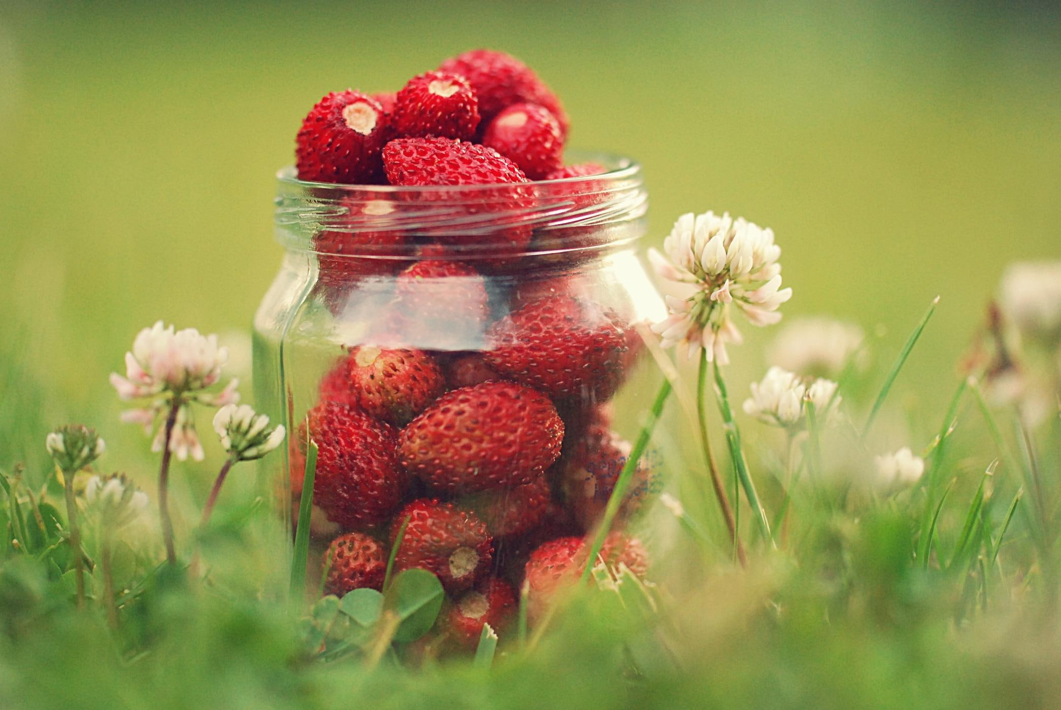 sweet, flowers, grass, 1080P, dreams, fruit, 3d and abstract, HD Wallpaper