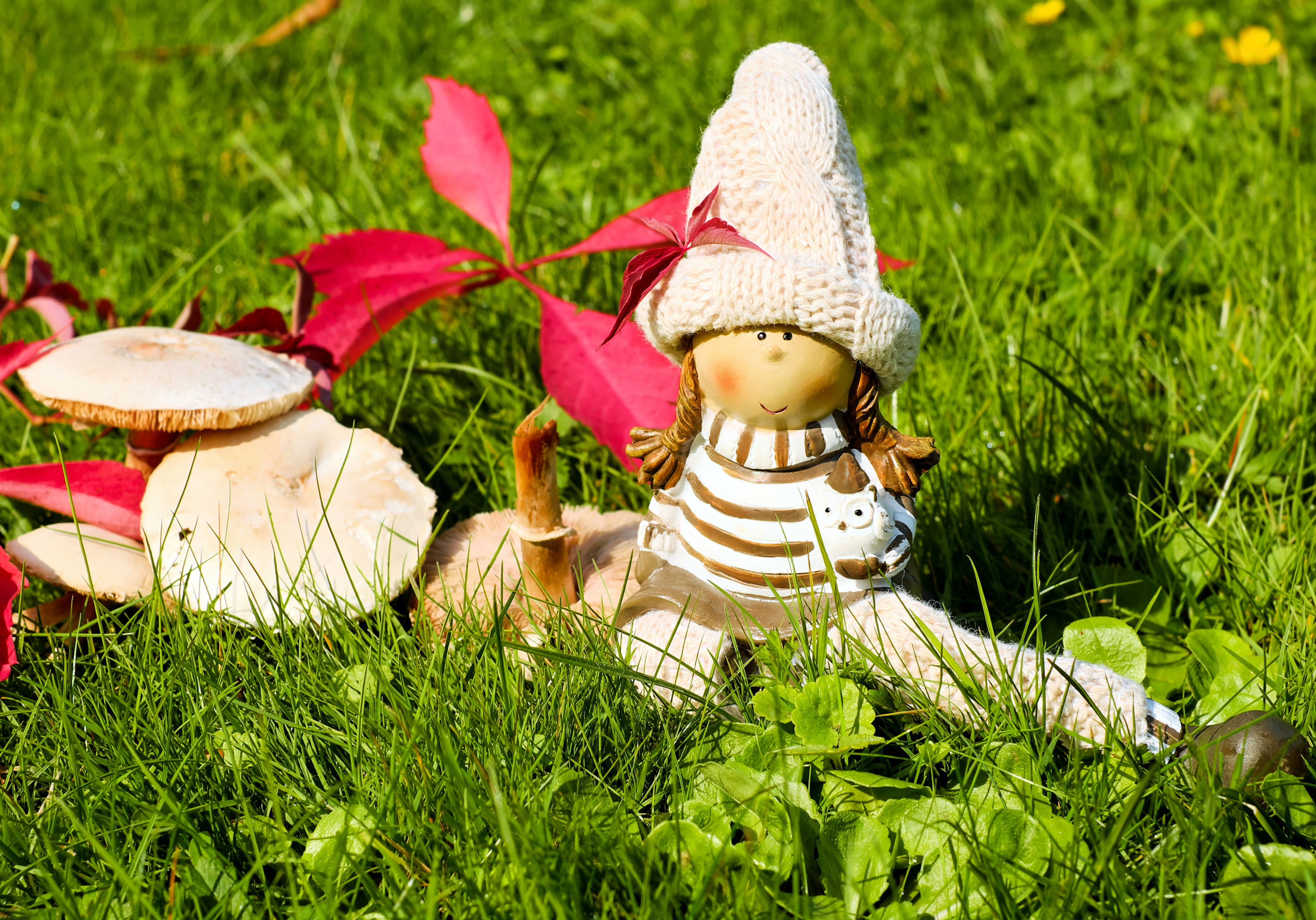 rest, dress, doll figure, sweet, creativity, hat, field, toy, art and craft, red, figure, plant, day, mushrooms, grass, figurine, nature, girl, white, land, HD Wallpaper