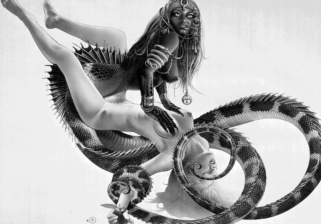 vertebrate, animal body part, animal wildlife, digital composite, arts culture and entertainment, adult, one person, creatures furry fandom, women, reptile, HD Wallpaper