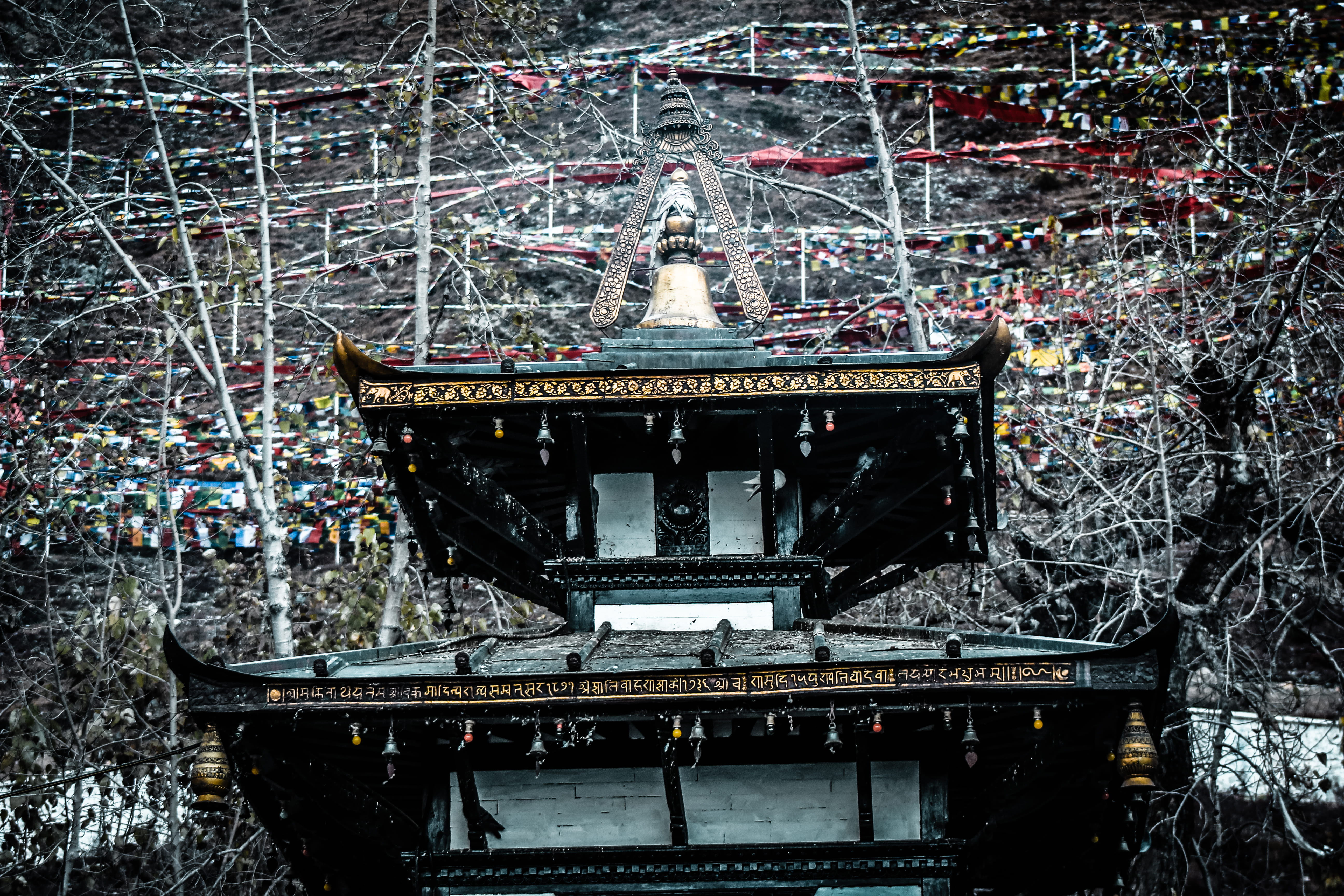 muktinath temple, nature, place of worship, temple, tree, building, spirituality, plant, angle, shrine, exposition, 5K, nepal, built structure, belief, HD Wallpaper