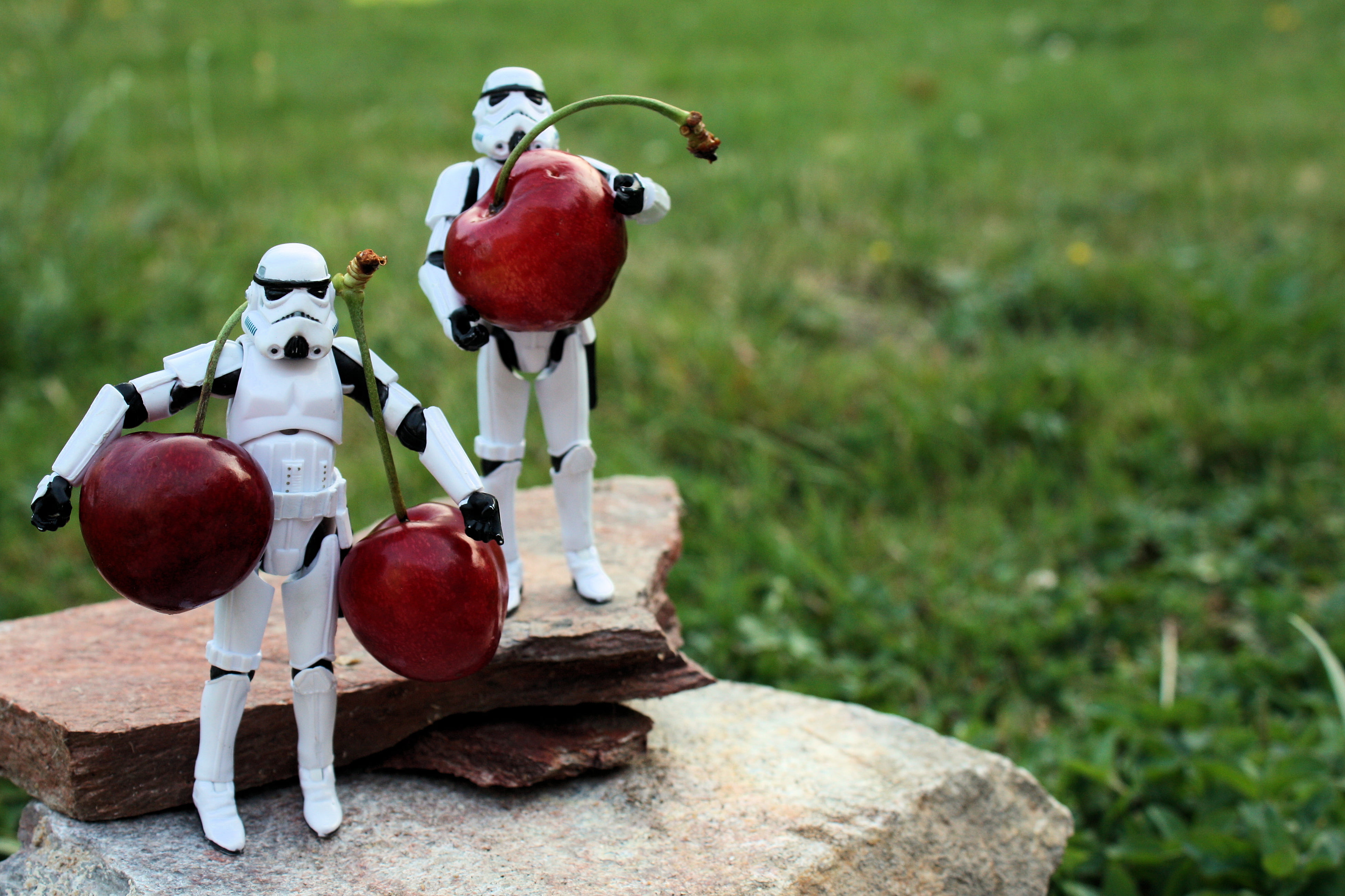 4K, day, nature, healthy eating, two, land, star, troopers, figures, red, no People, wood - material, summer, grass, close-up, LEGO, cherry, freshness, HD Wallpaper