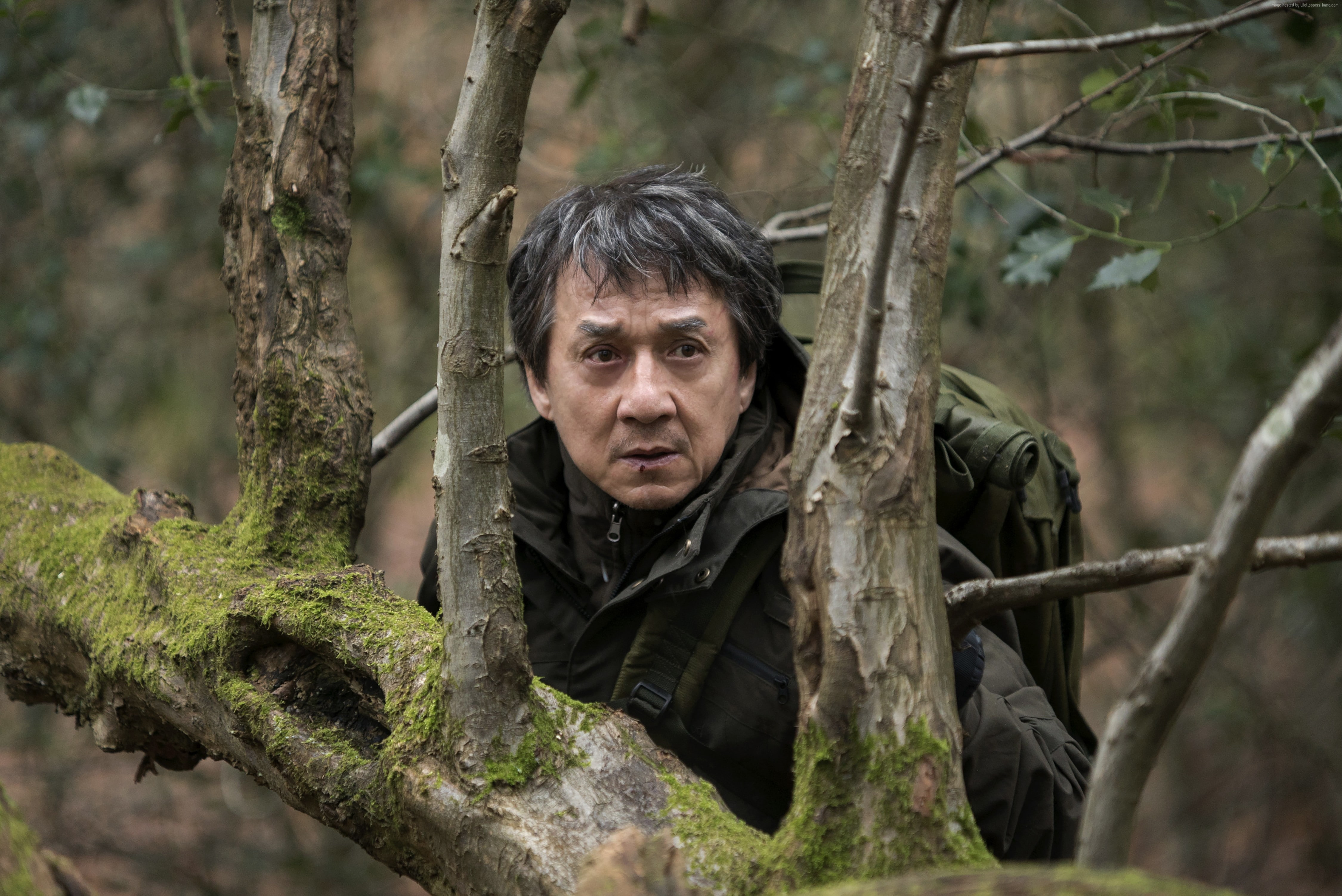 4k, portrait, men, outdoors, headshot, land, tree, Jackie Chan, one person, social issues, 4K, trunk, adult, The Foreigner, tree trunk, plant, front view, HD Wallpaper