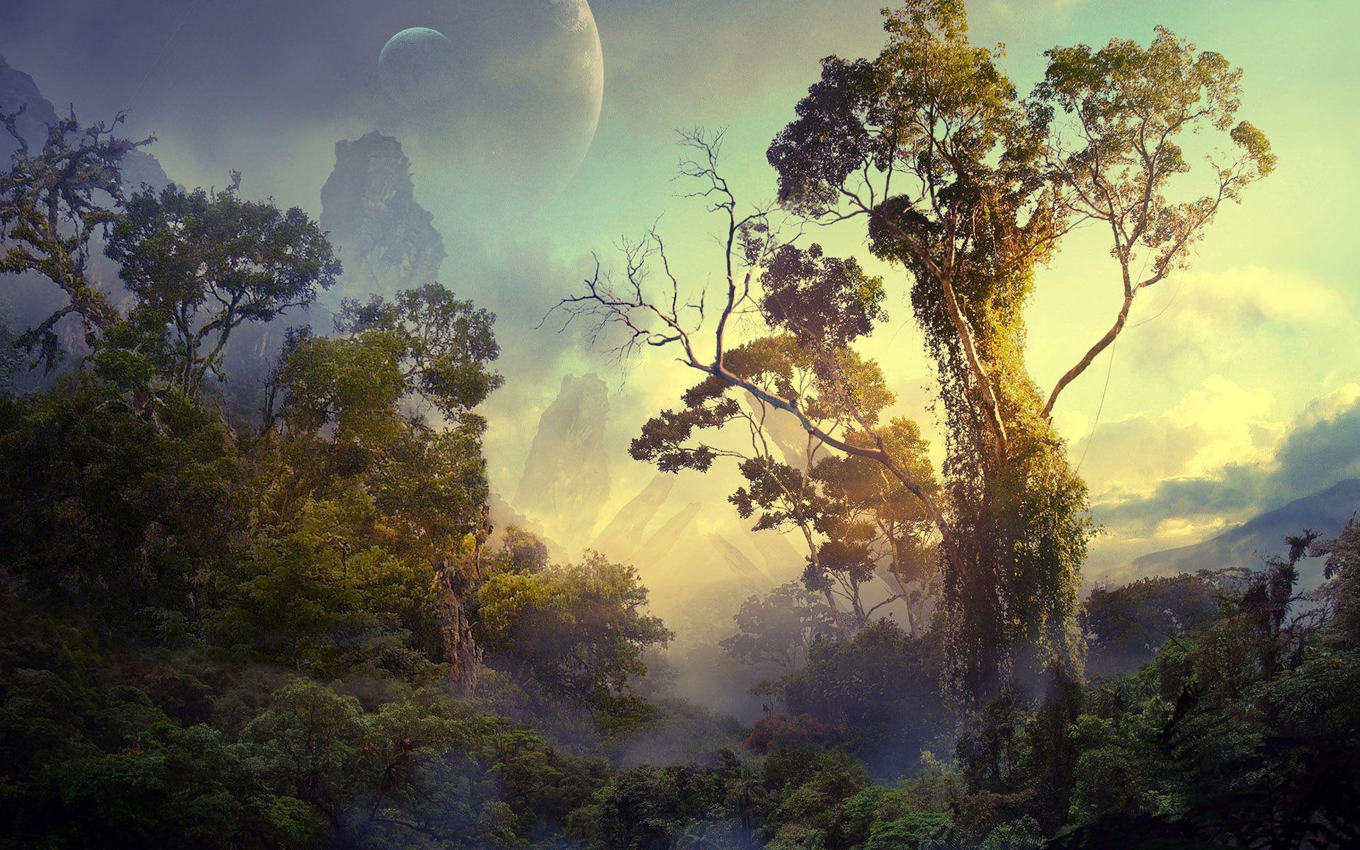 1080P, foreign, 1920x1200, forest, planet, fantasy, jungle, illustration, HD Wallpaper