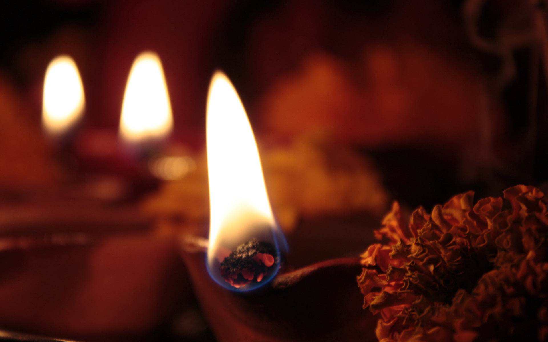 1080P, ultrahd diwalr, 1920x1200, light, desktop, diwali, 4k diwali, HD Wallpaper